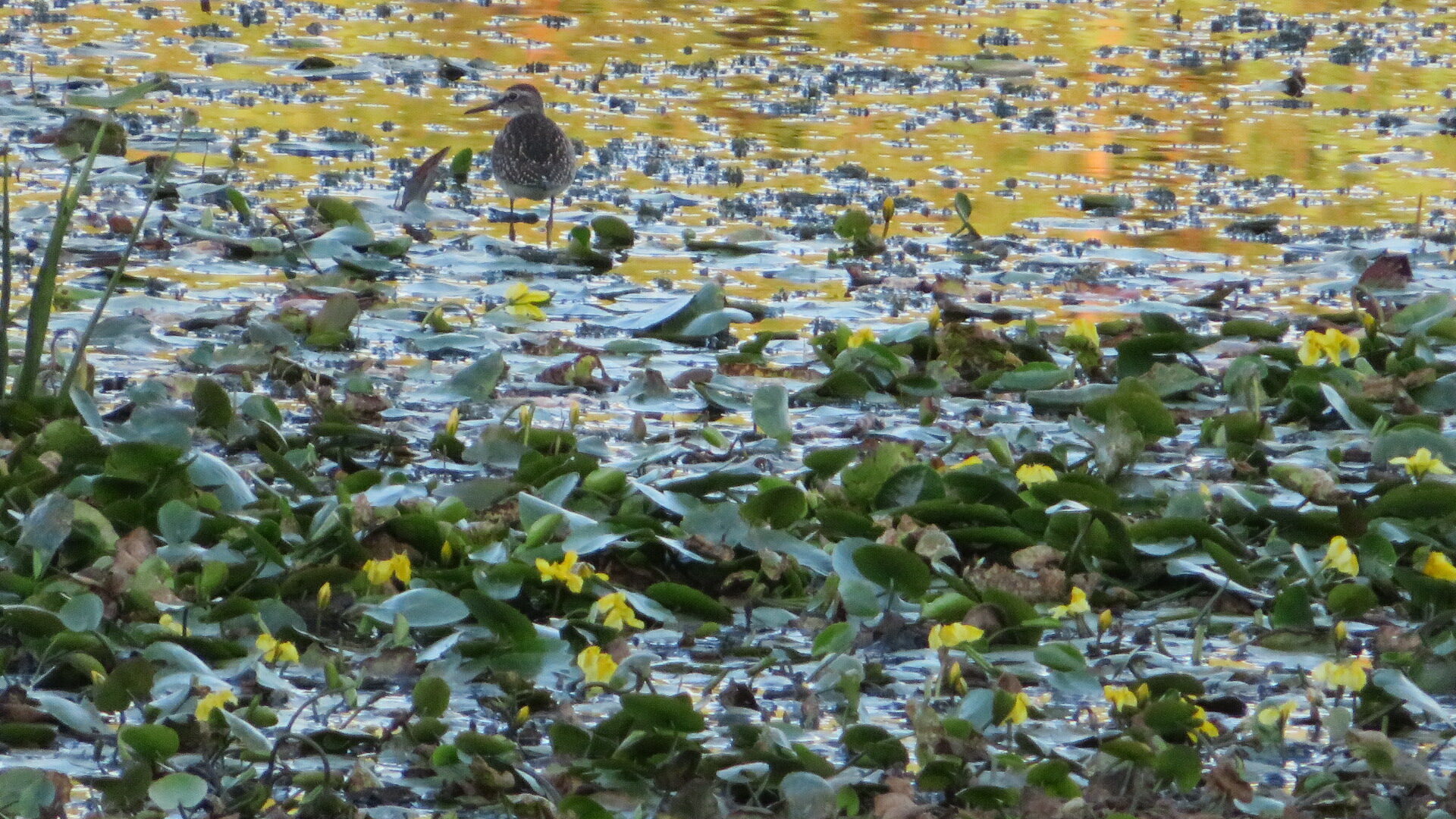 Valokuvaaja: Risto Kangassalo