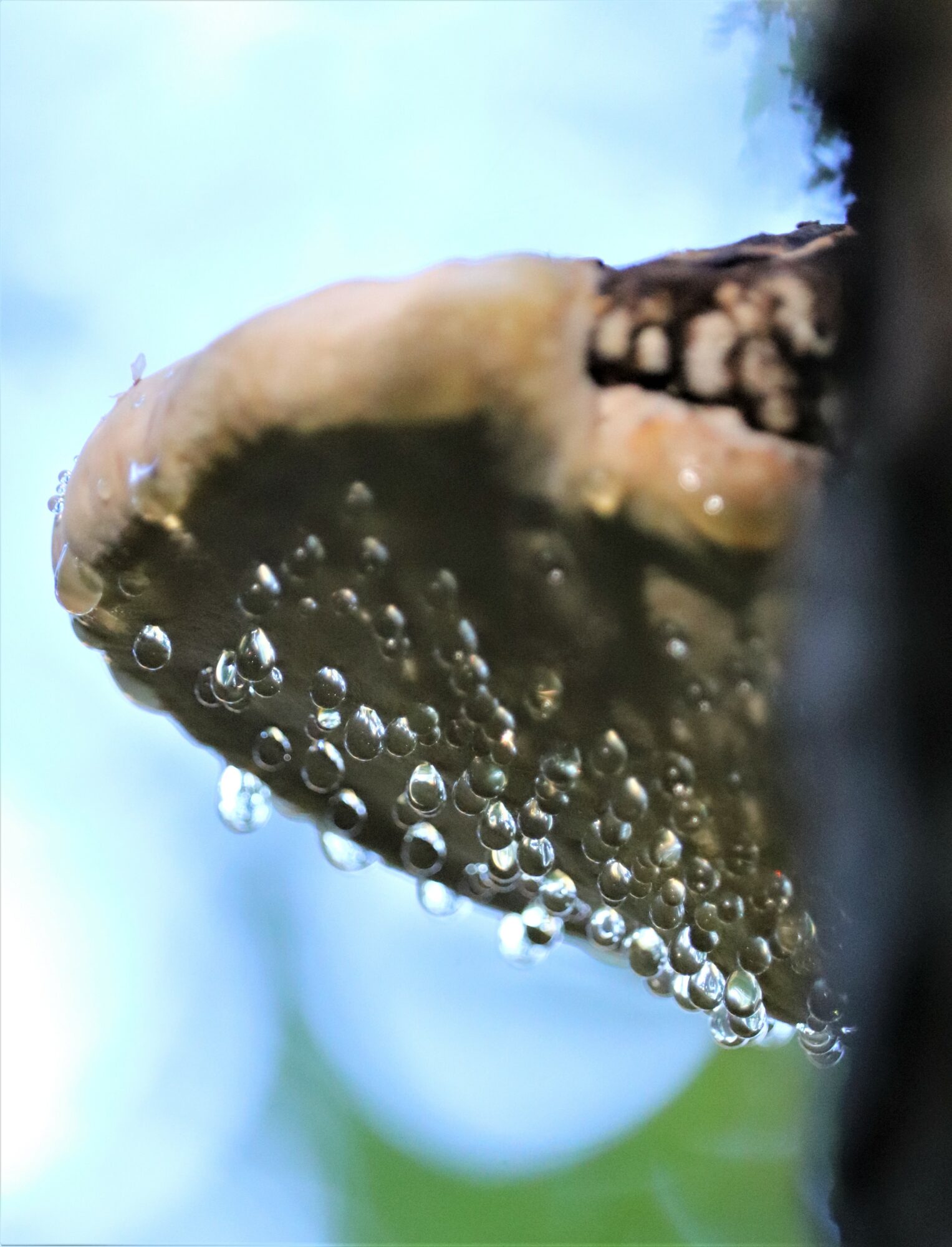 Valokuvaaja: Birgit Silvennoinen