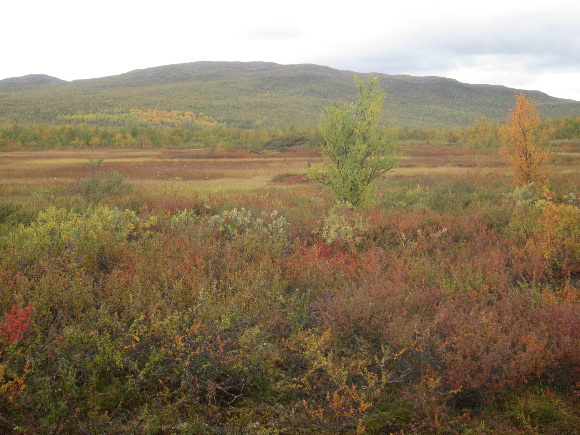 Valokuvaaja: Marita Portin