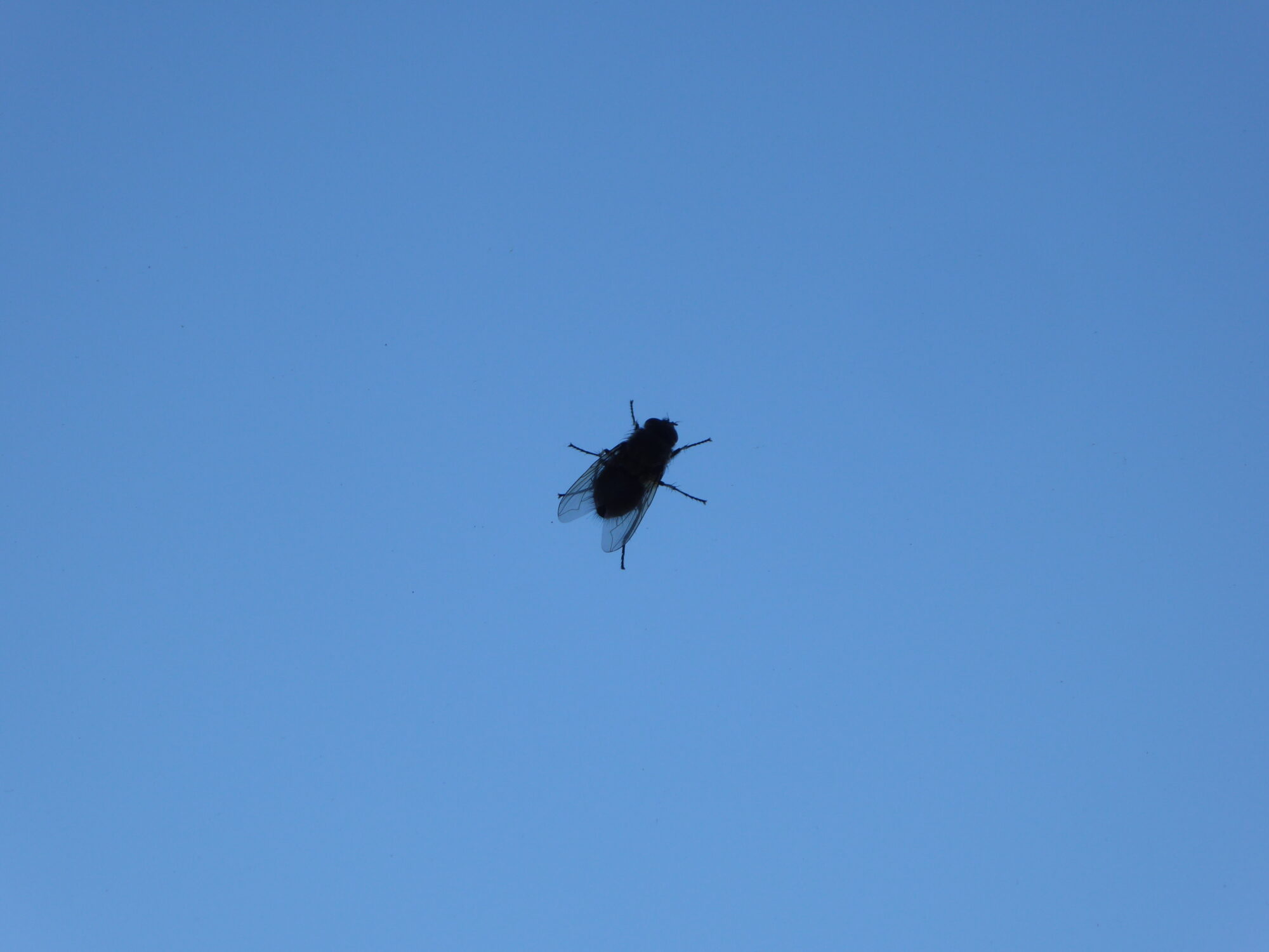 Valokuvaaja: Toni Asikainen