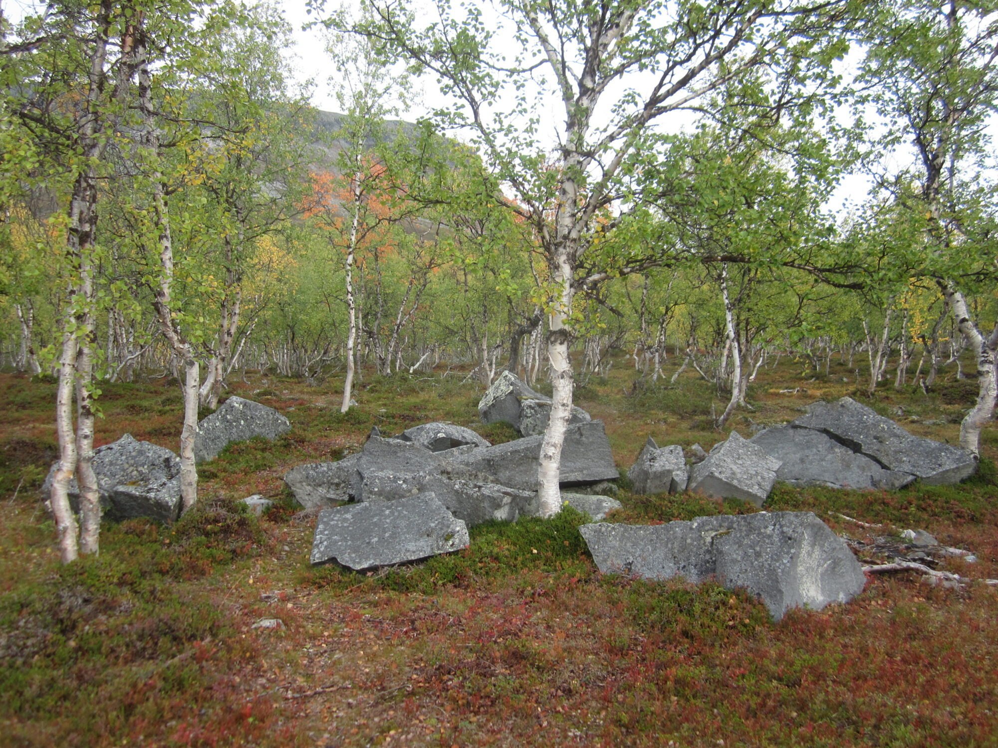 Valokuvaaja: Marita Portin