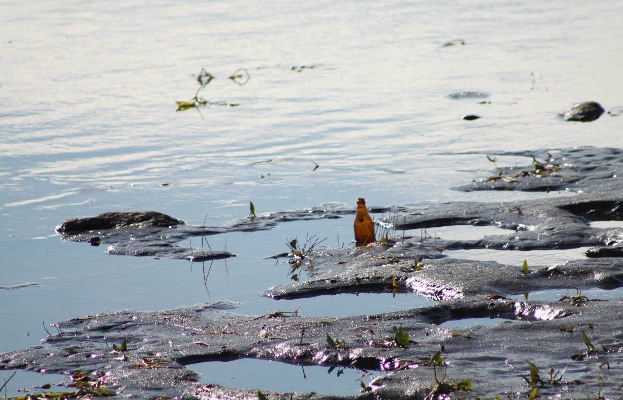 Valokuvaaja: Pirkko Siukonen