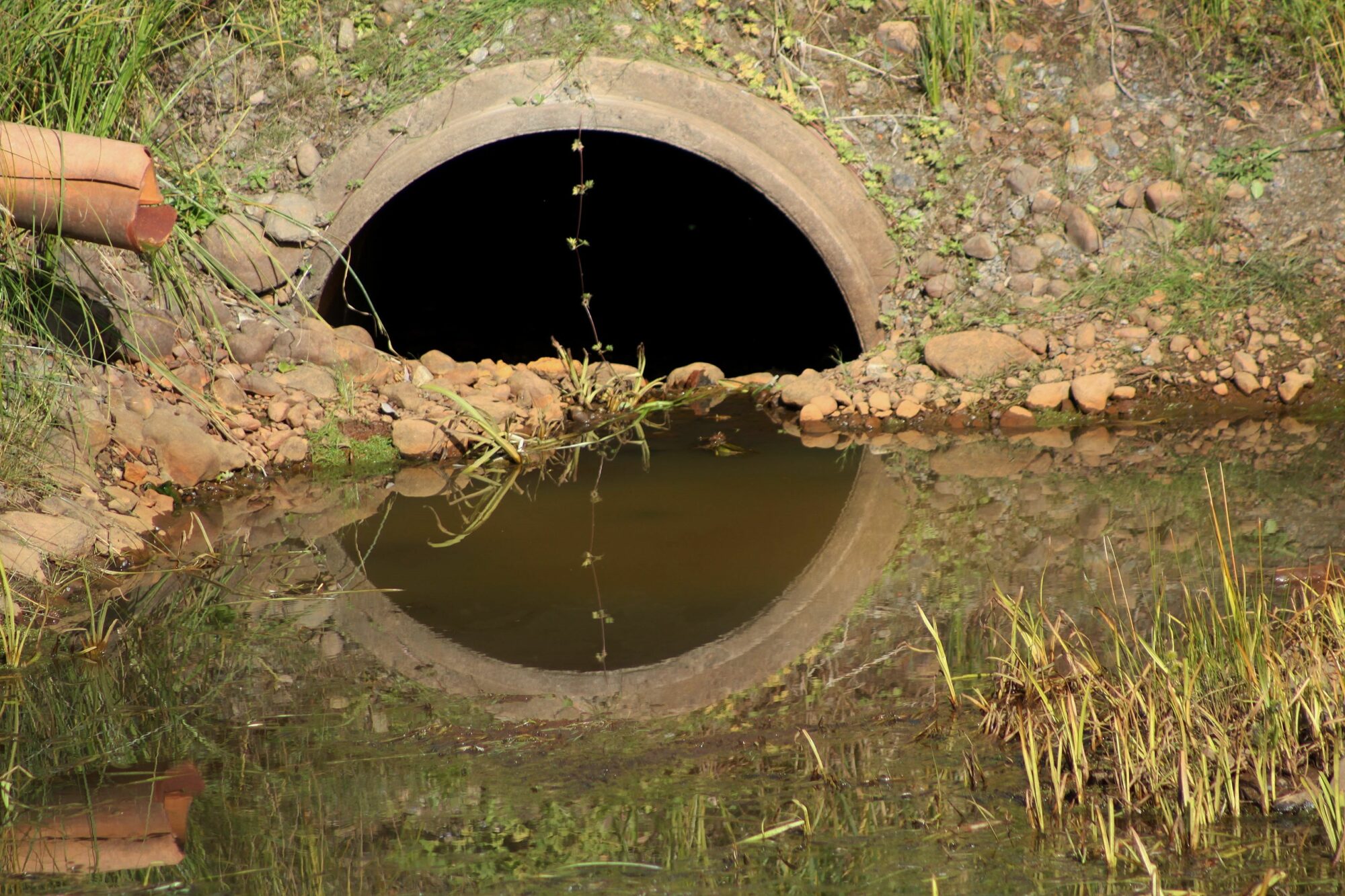 Valokuvaaja: Pirkko Siukonen