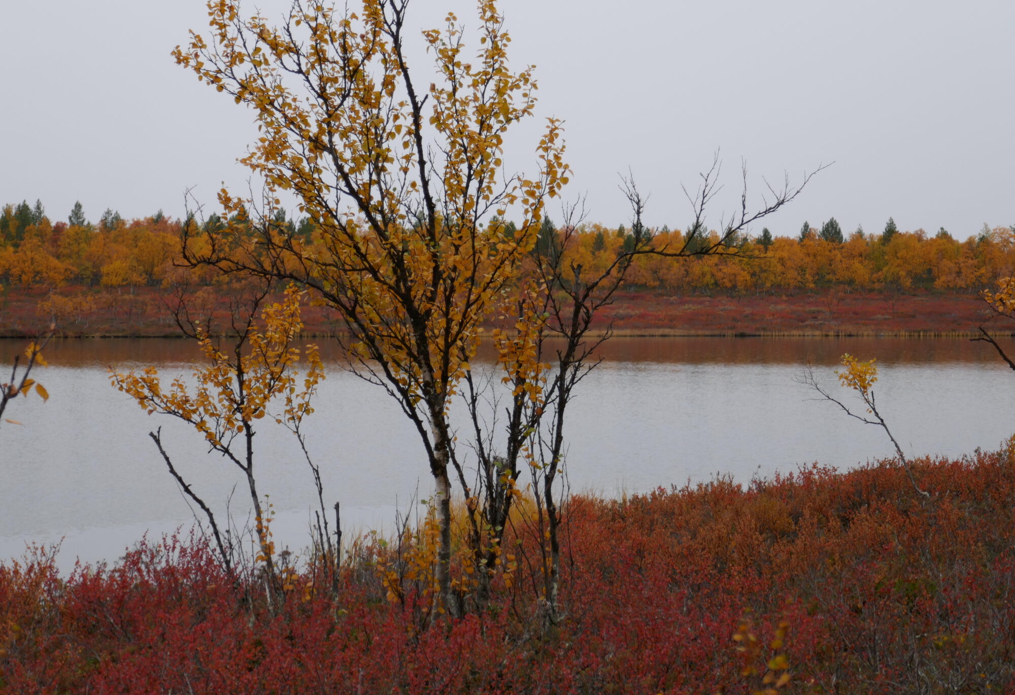 Valokuvaaja: Marjut Ikonen