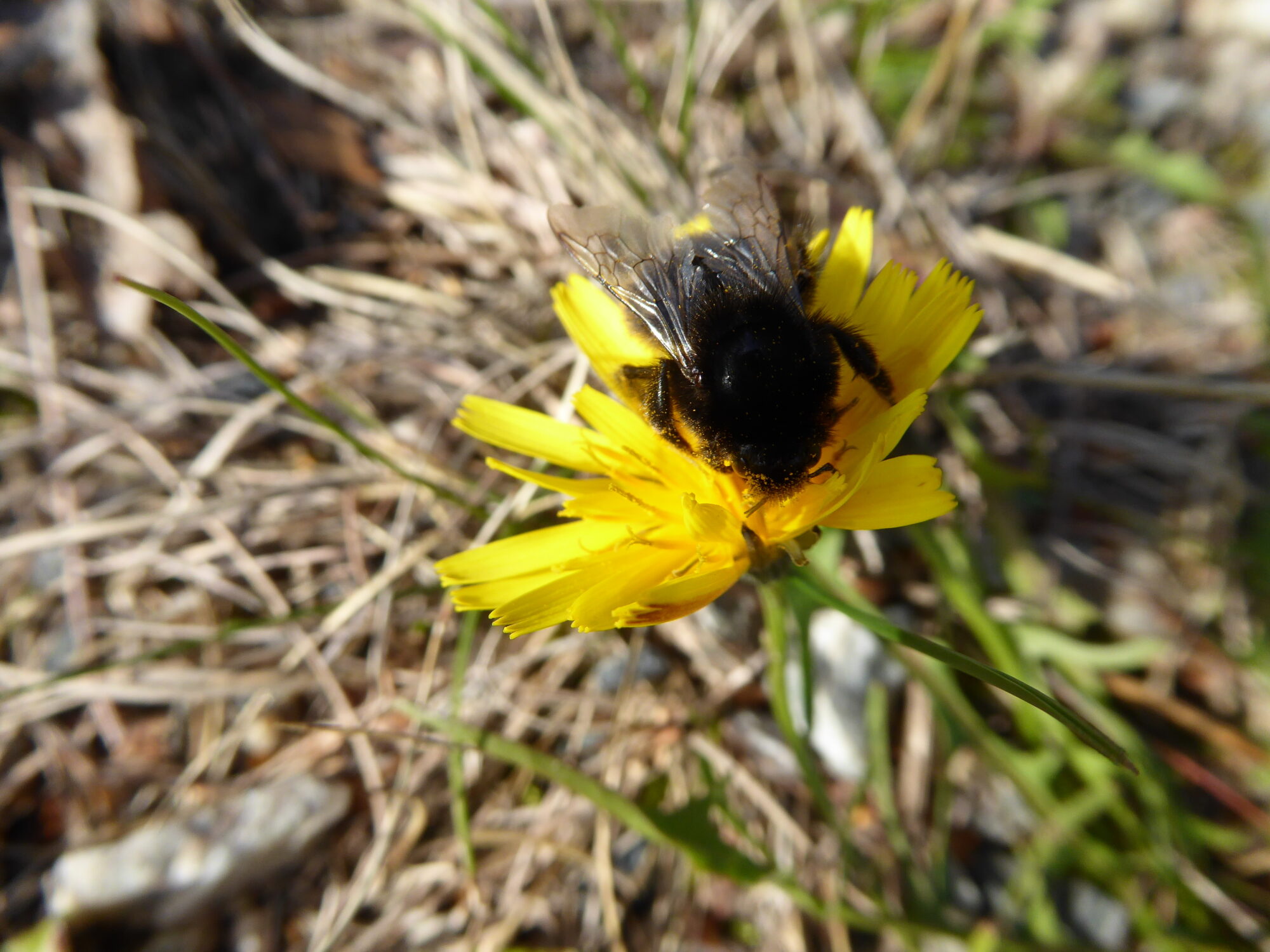 Valokuvaaja: Toni Asikainen
