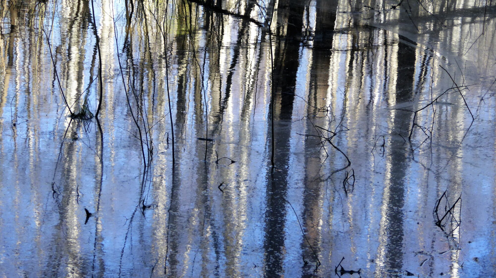 Valokuvaaja: Arja Valtonen