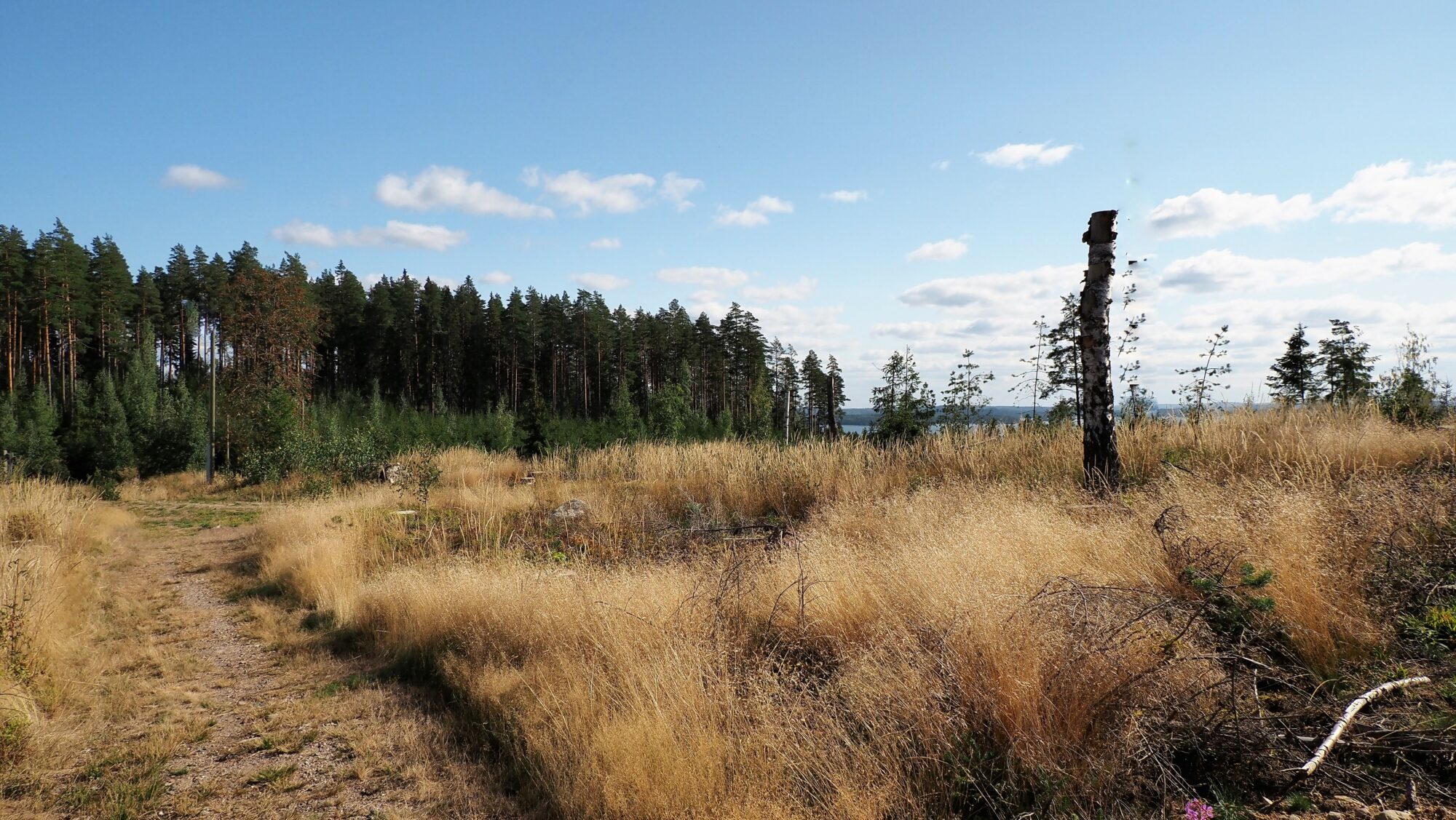 Valokuvaaja: Arja Valtonen