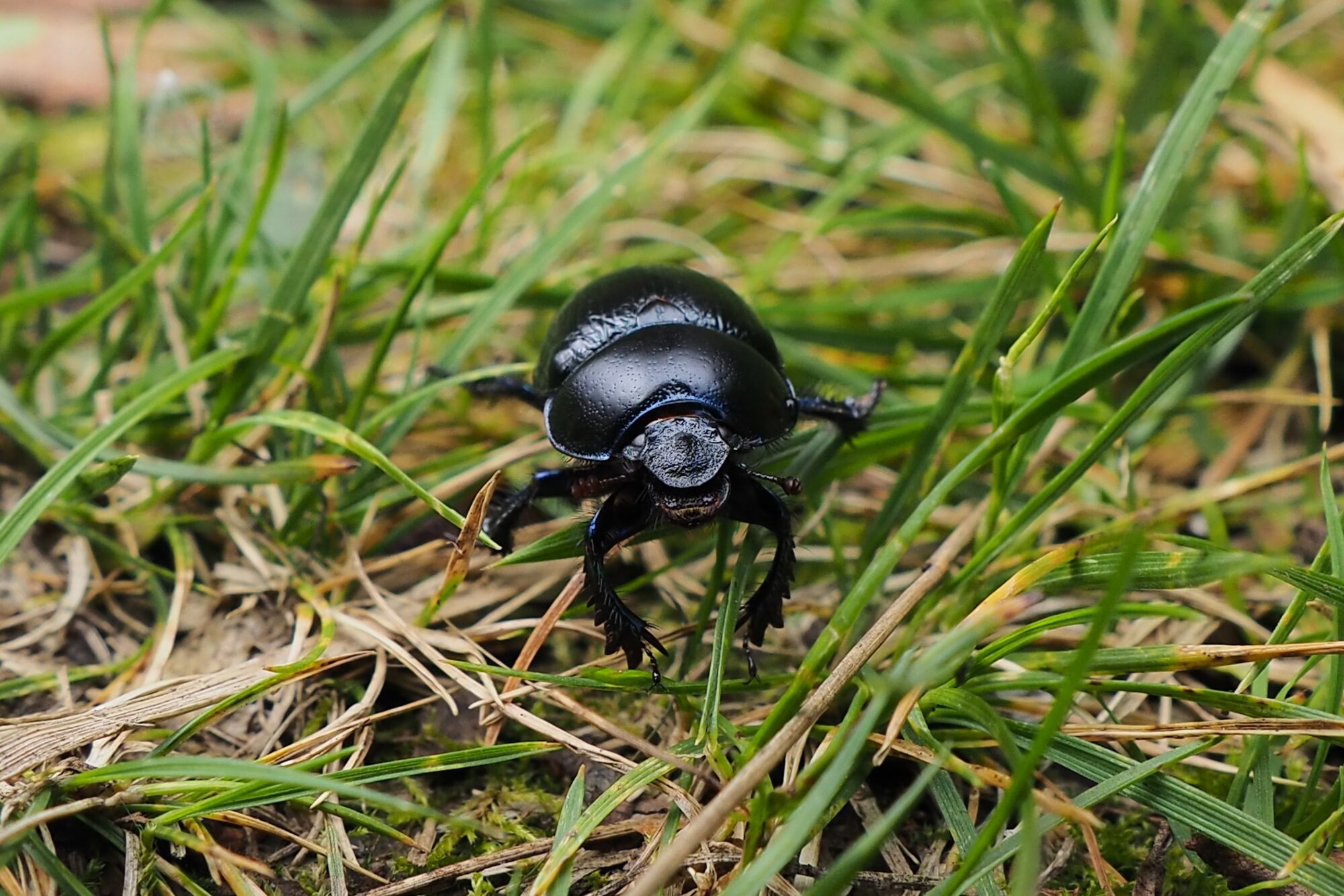 Valokuvaaja: Martti Valtonen