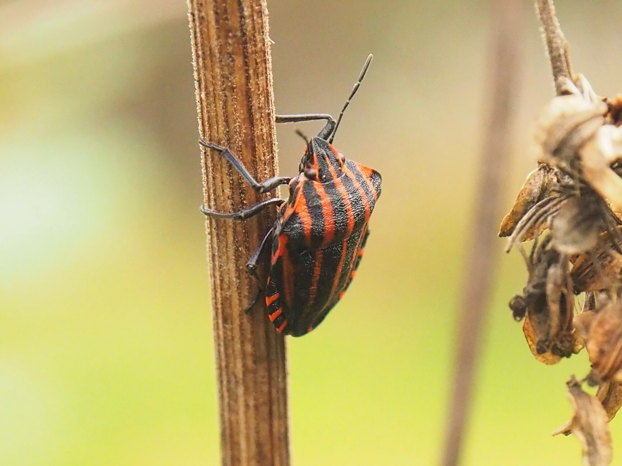 Valokuvaaja: Martti Valtonen