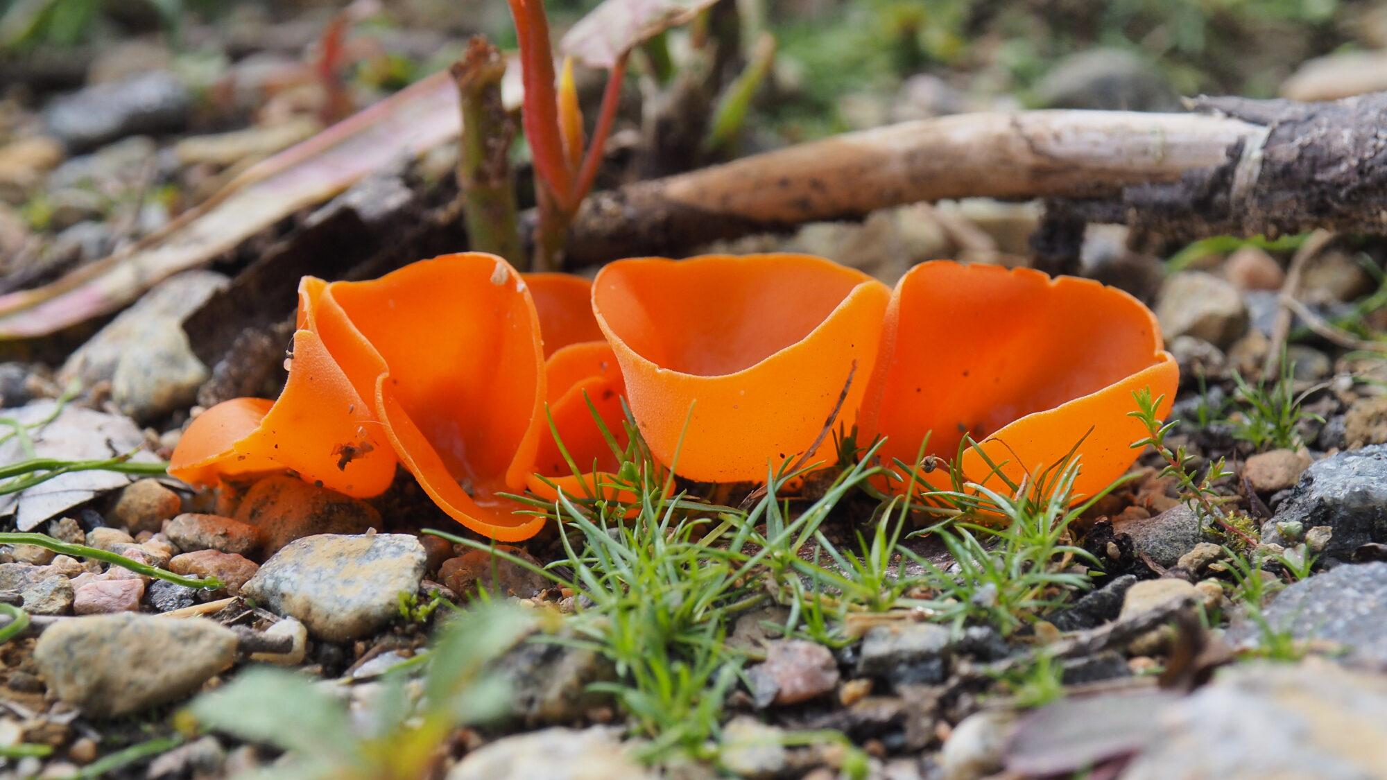 Valokuvaaja: Martti Valtonen