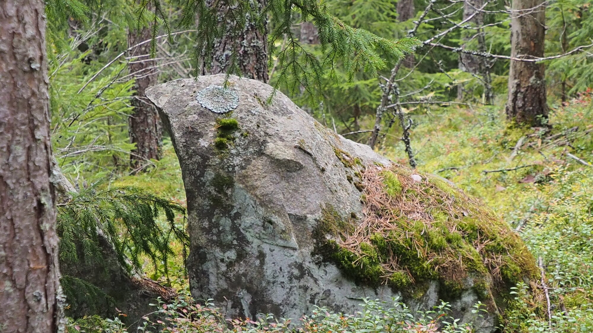 Valokuvaaja: Valtonen Martti