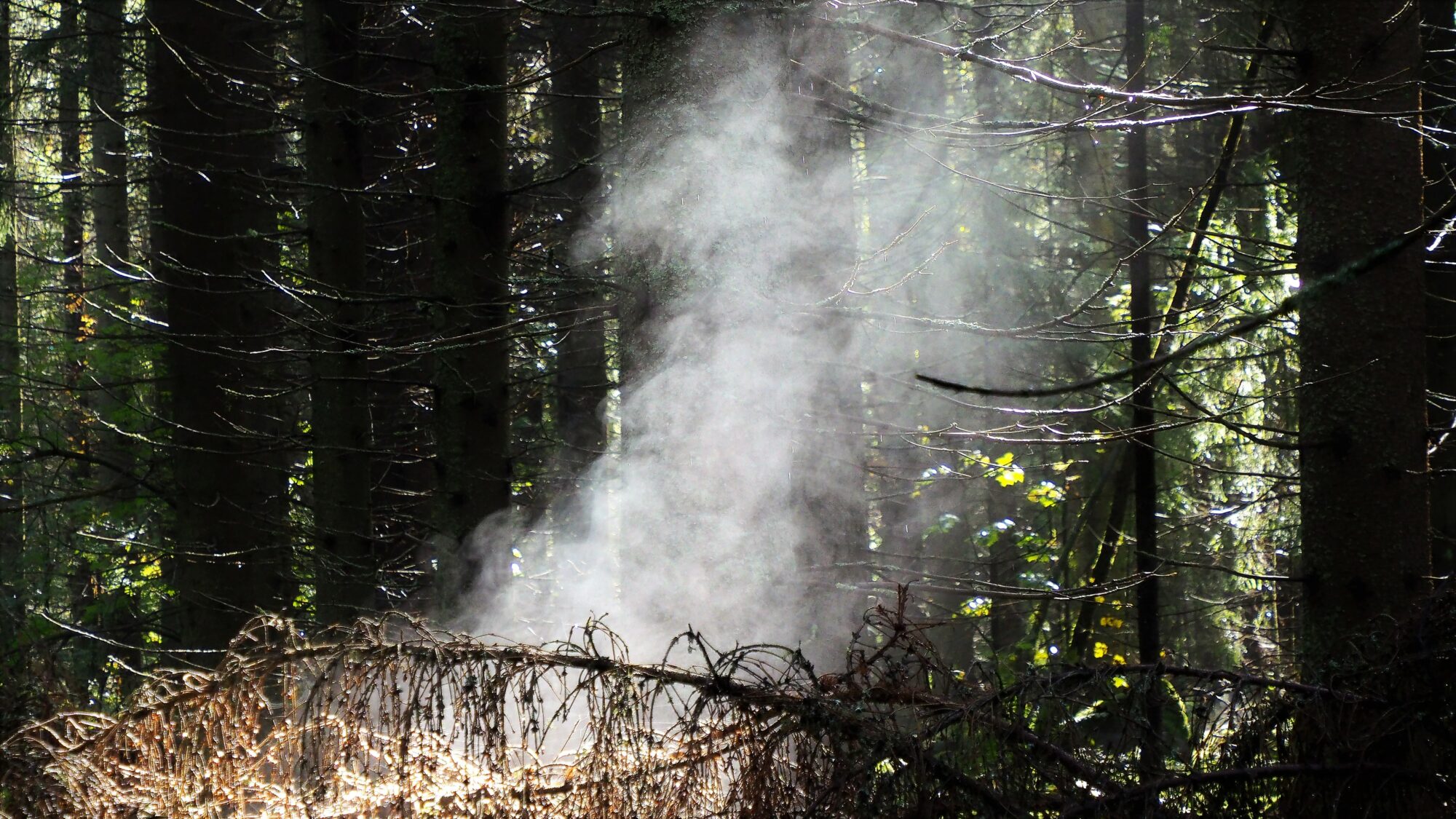 Valokuvaaja: Valtonen Martti