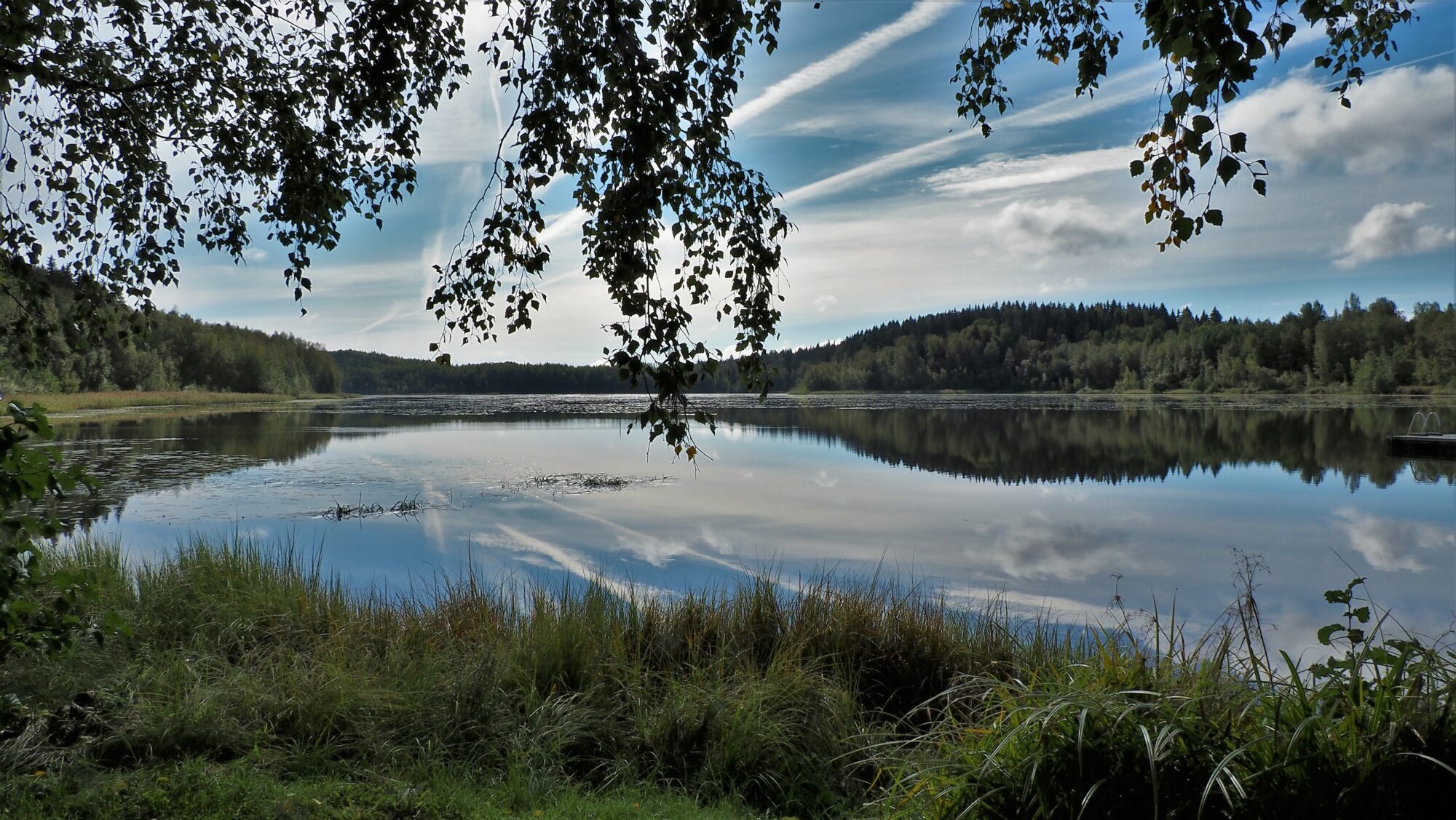 Valokuvaaja: Arja Valtonen