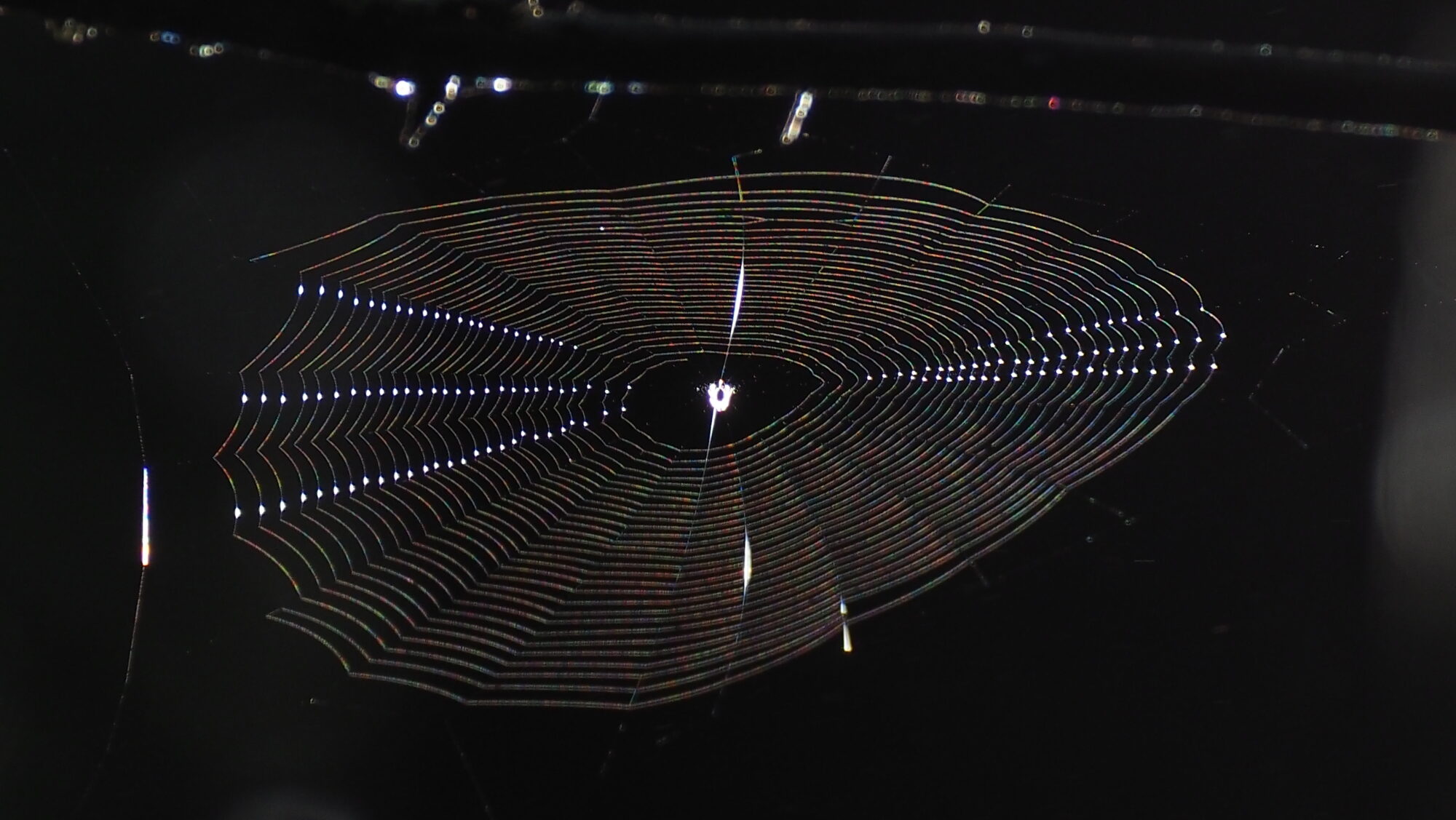 Valokuvaaja: Arja Valtonen