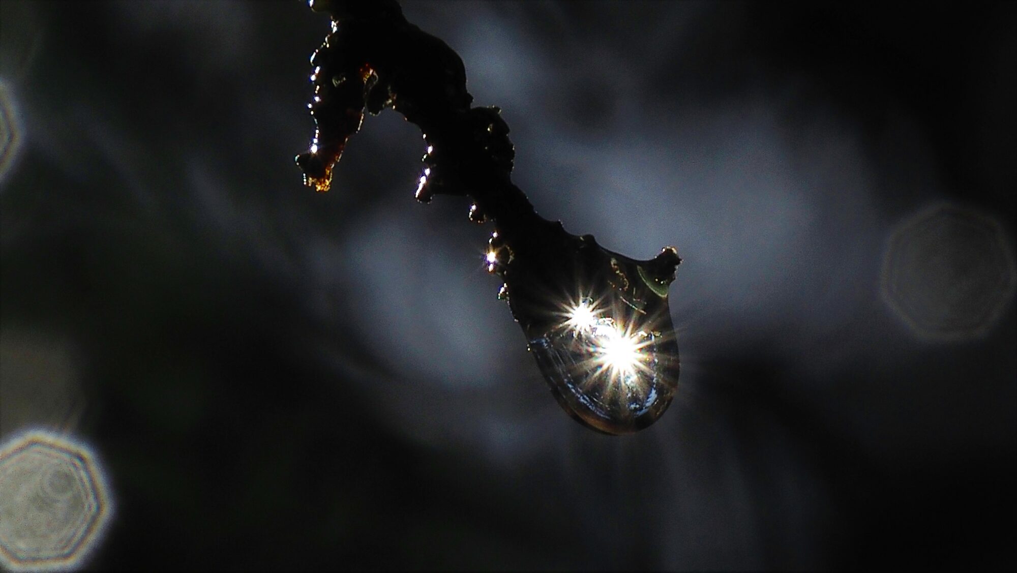 Valokuvaaja: Arja Valtonen