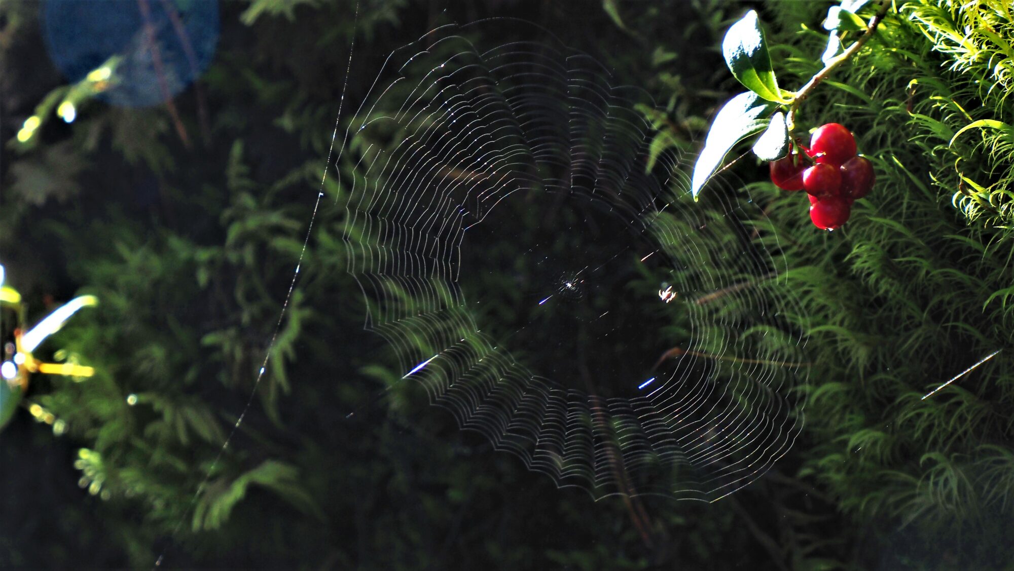 Valokuvaaja: Arja Valtonen