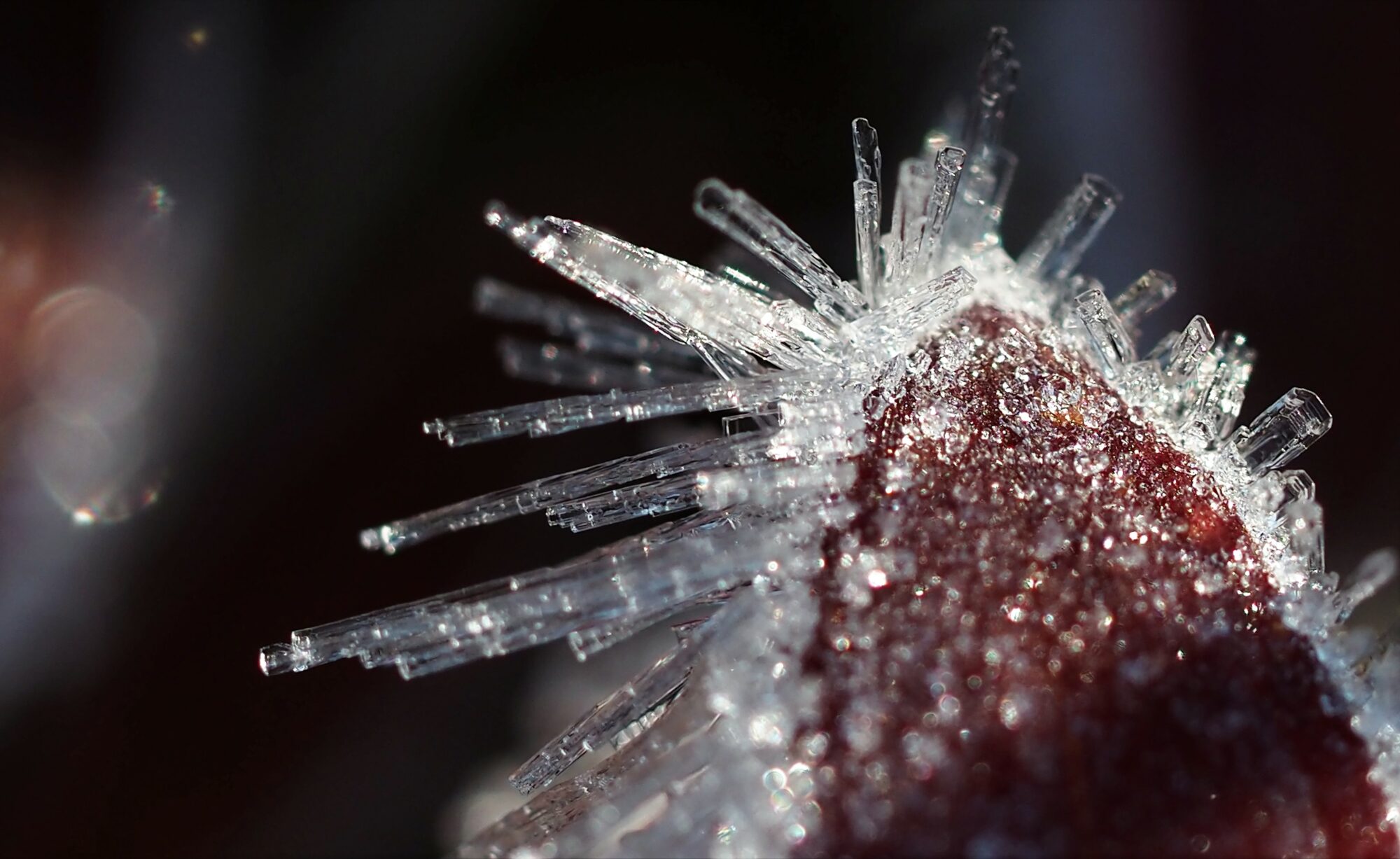 Valokuvaaja: Arja Valtonen