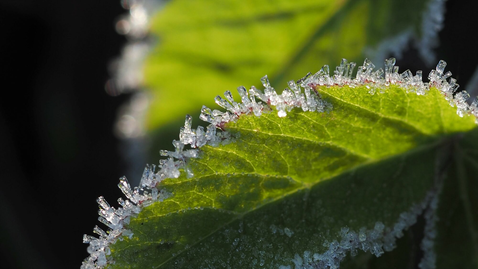 Valokuvaaja: Arja Valtonen