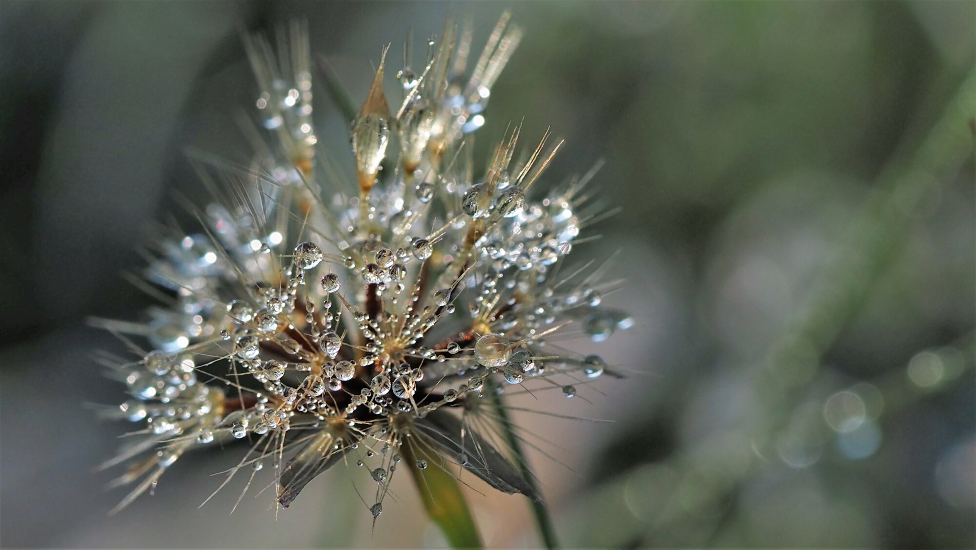 Valokuvaaja: Arja Valtonen