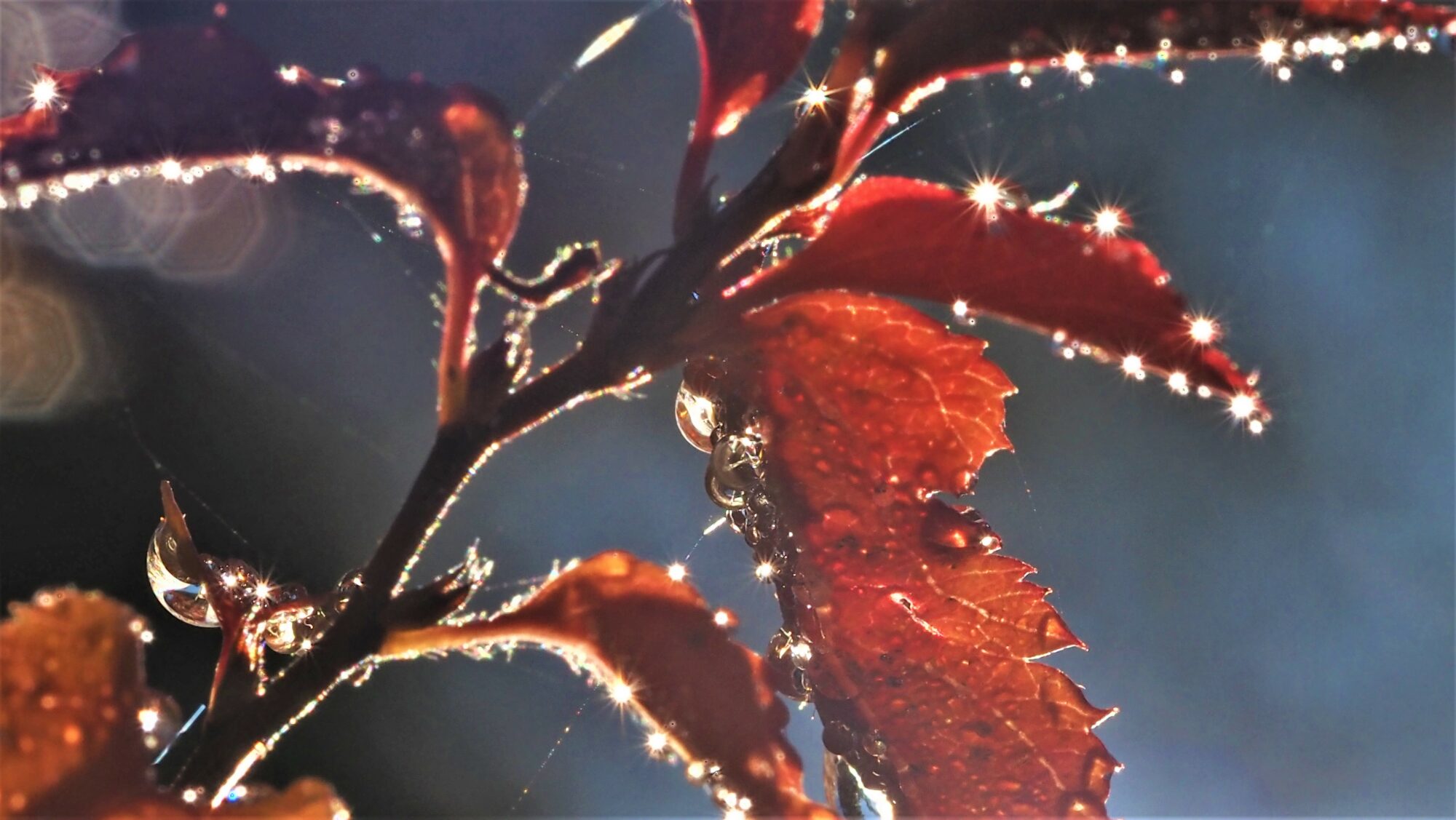 Valokuvaaja: Arja Valtonen