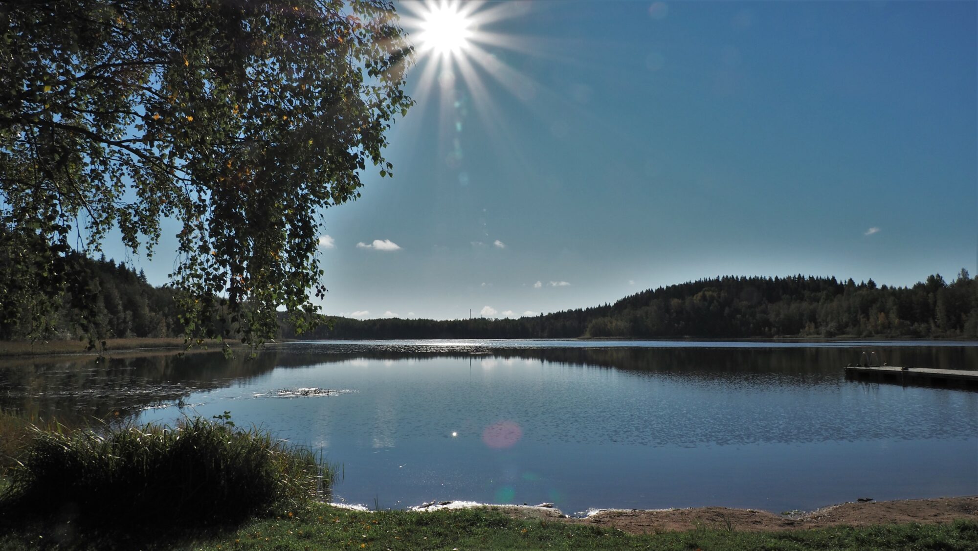 Valokuvaaja: Arja Valtonen