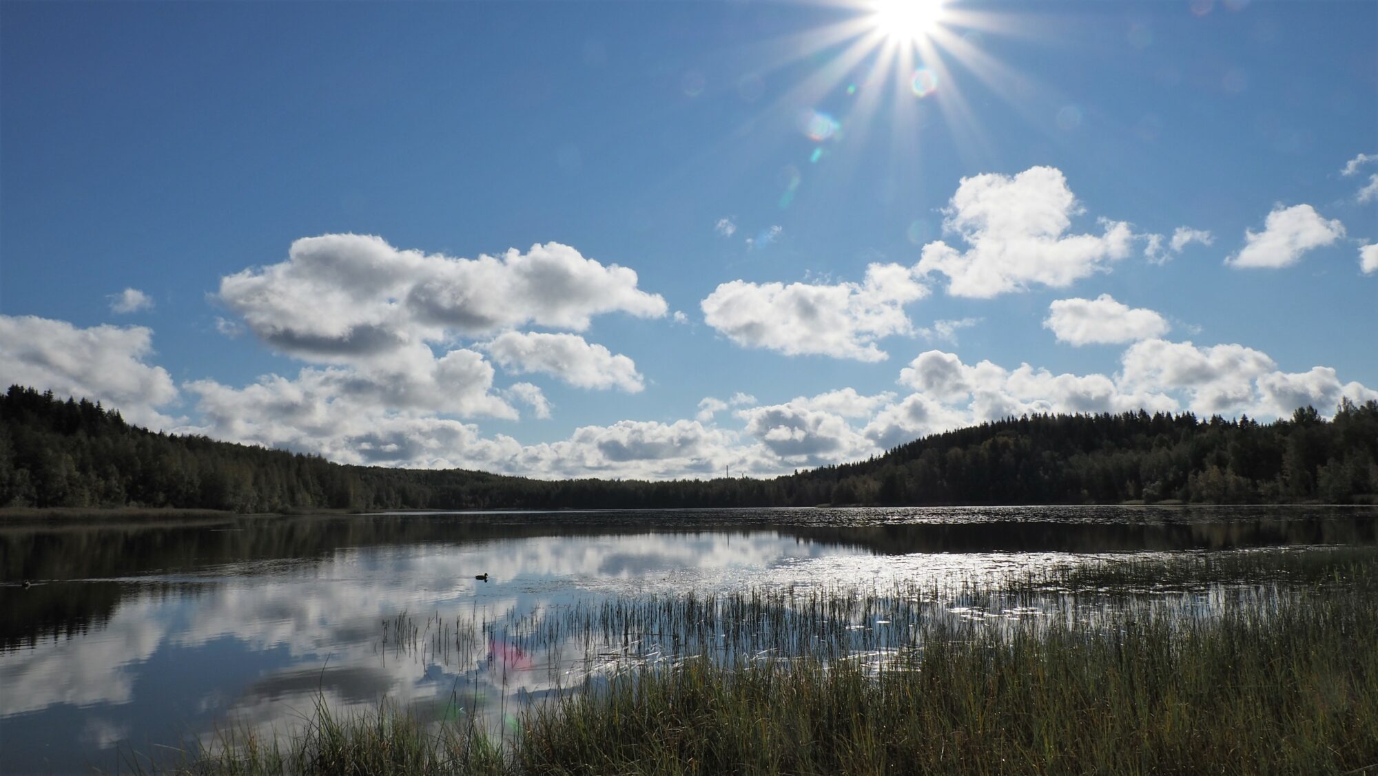 Valokuvaaja: Arja Valtonen