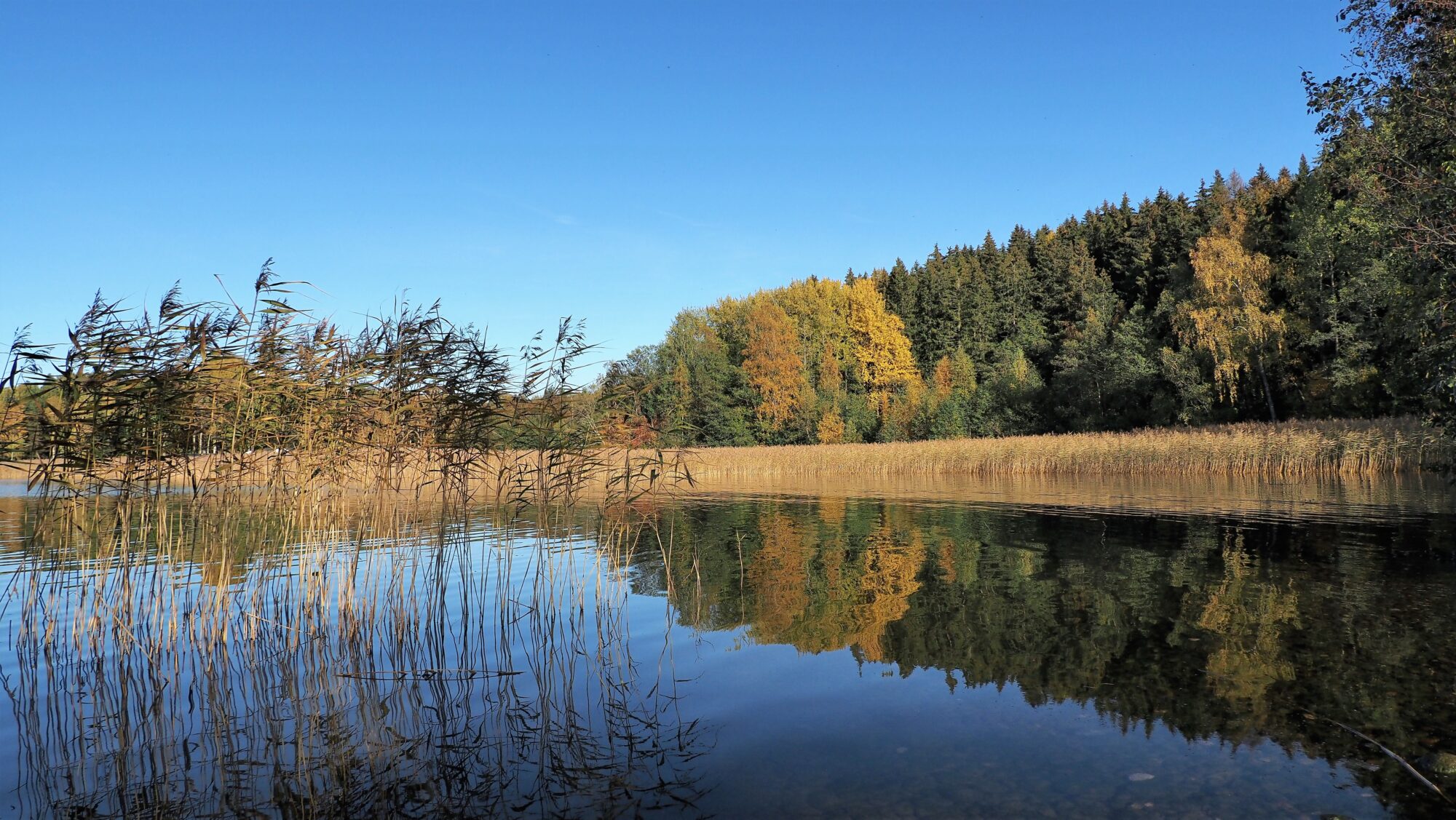 Valokuvaaja: Arja Valtonen