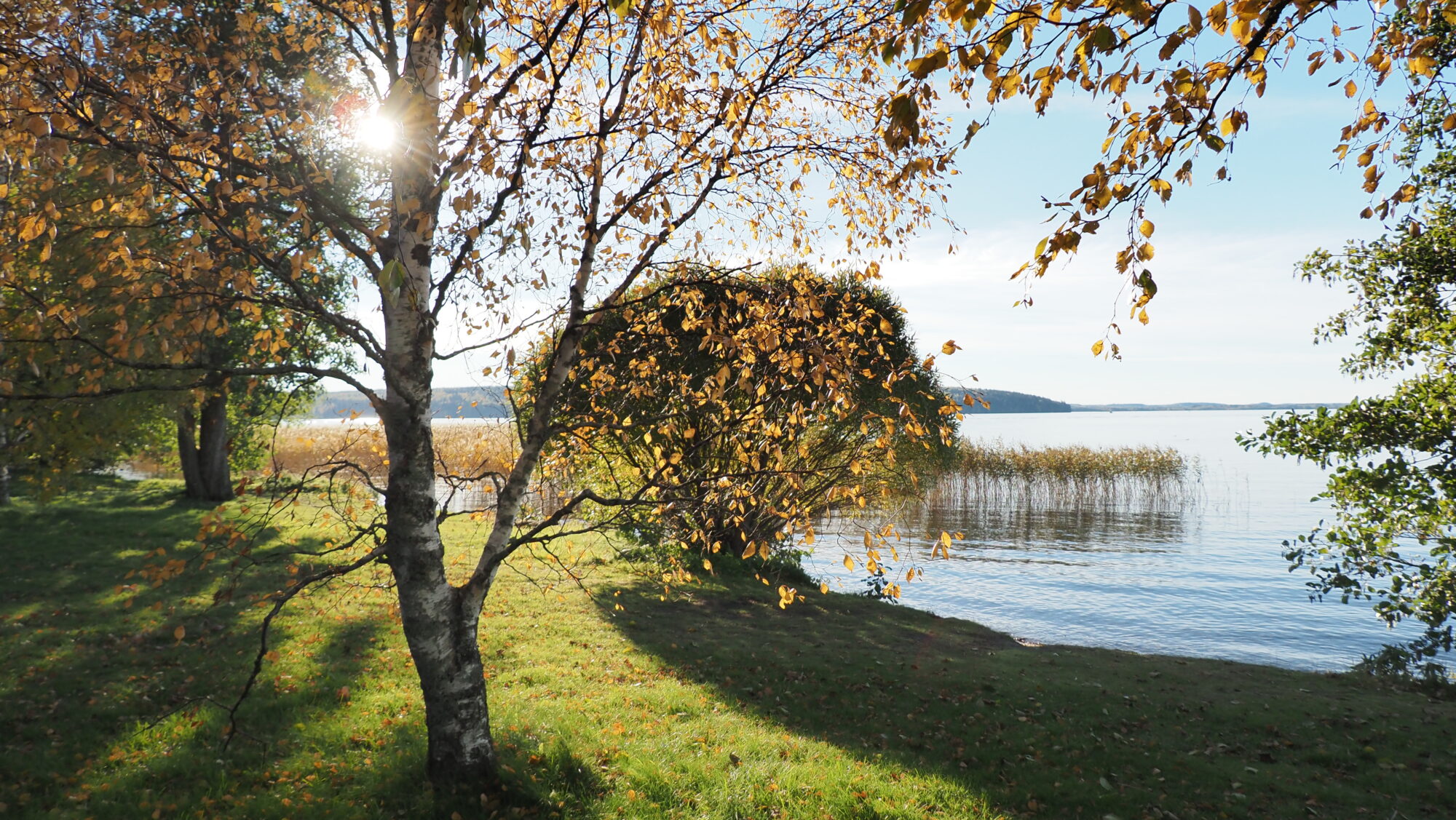 Valokuvaaja: Arja Valtonen