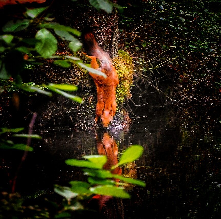 Valokuvaaja: Johanna Wallin