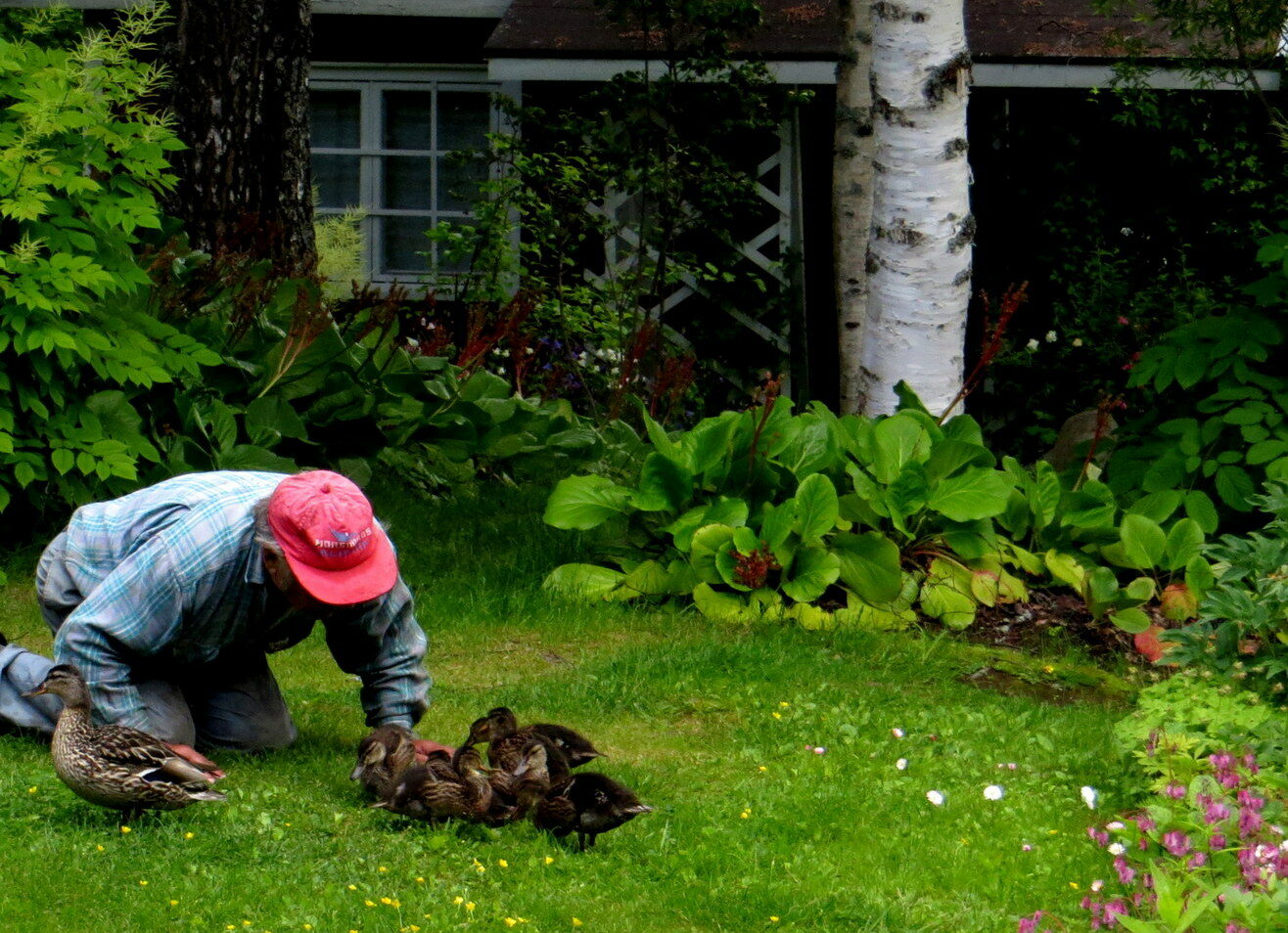 Valokuvaaja: Pirjo Pakarinen