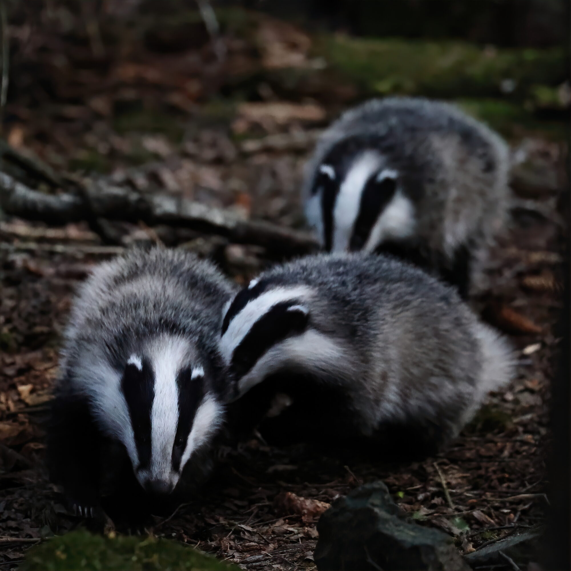 Valokuvaaja: Janne Salomeri