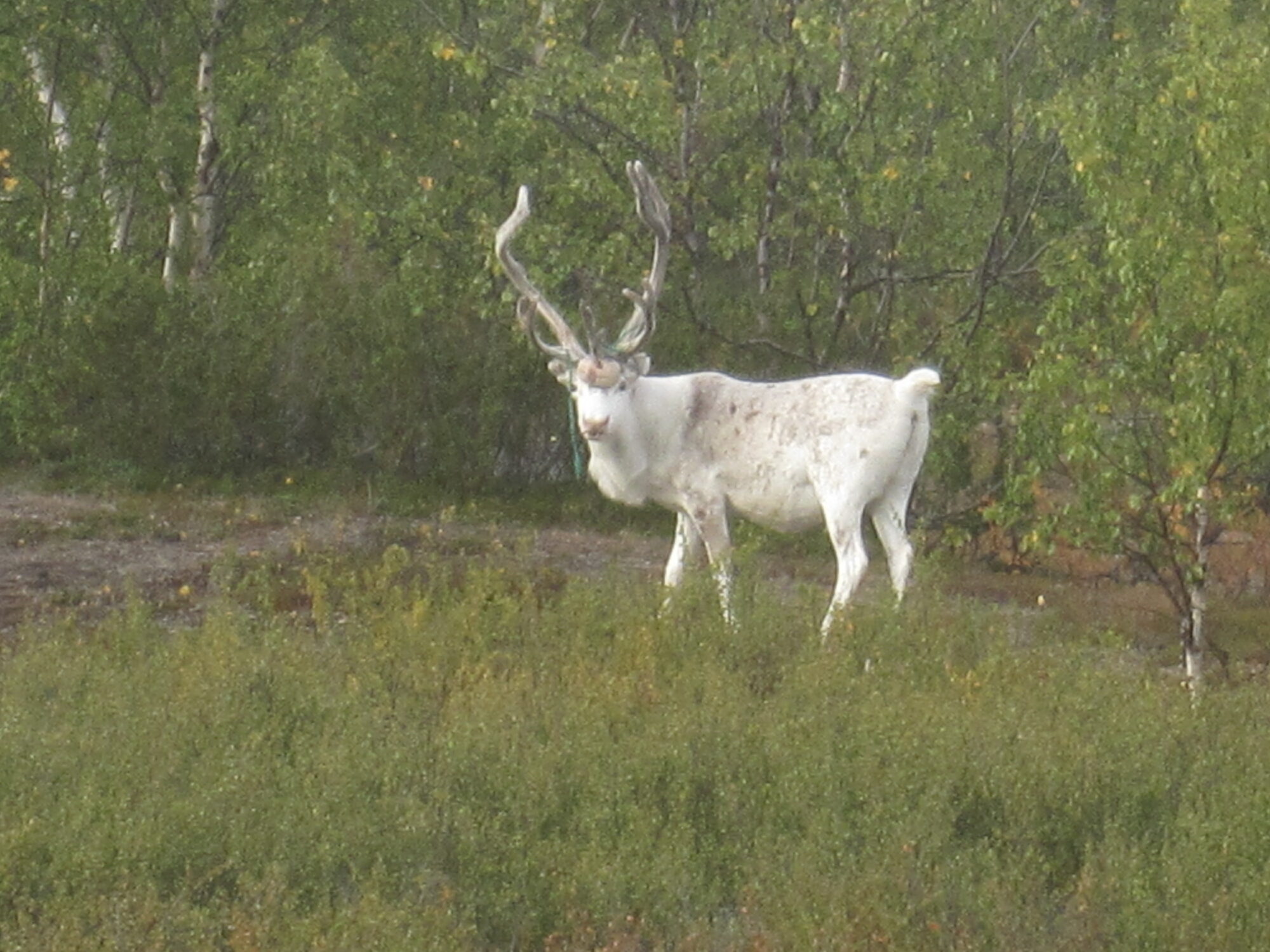 Valokuvaaja: Marita Portin