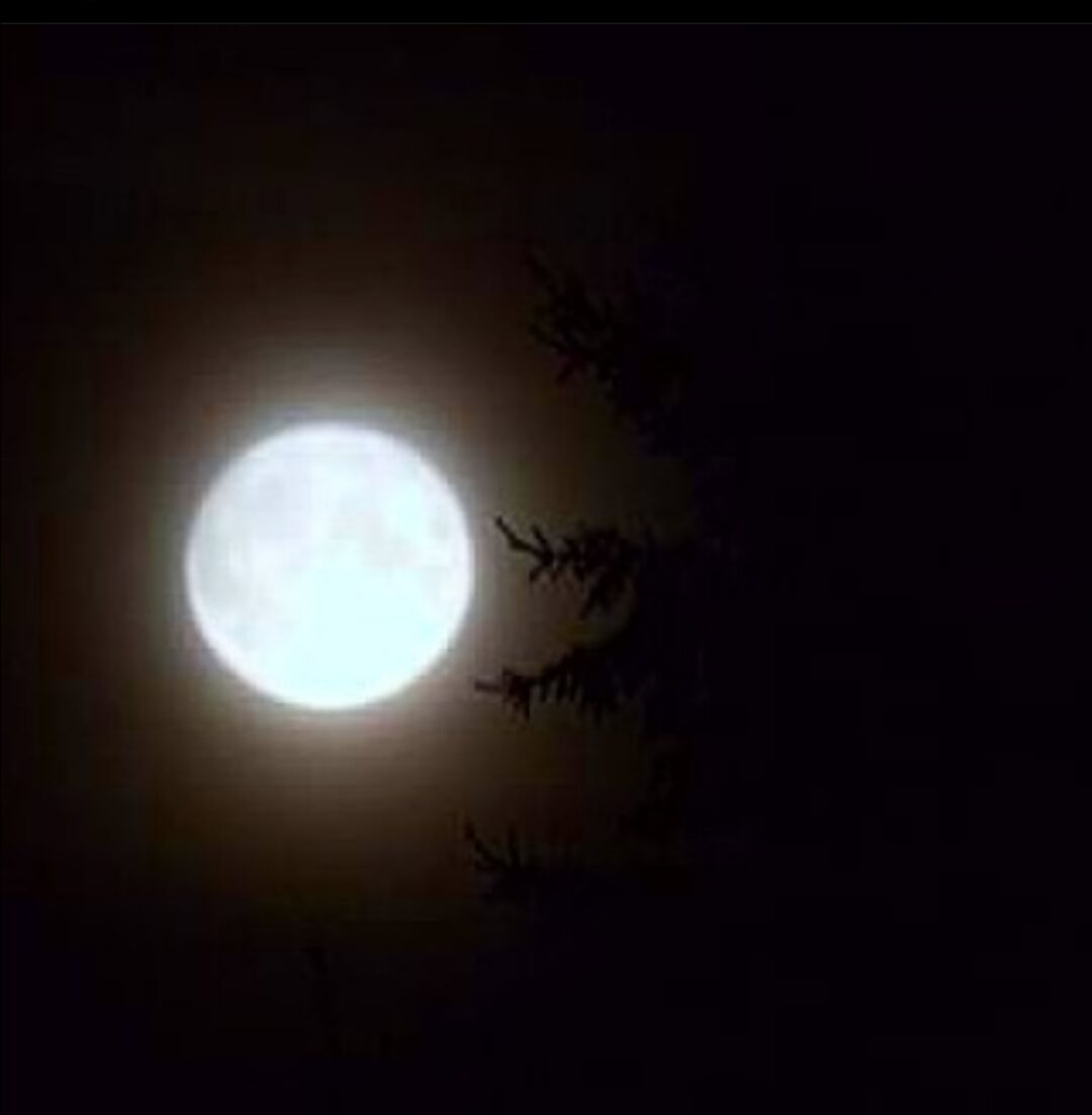 Valokuvaaja: Tapio Keinonen