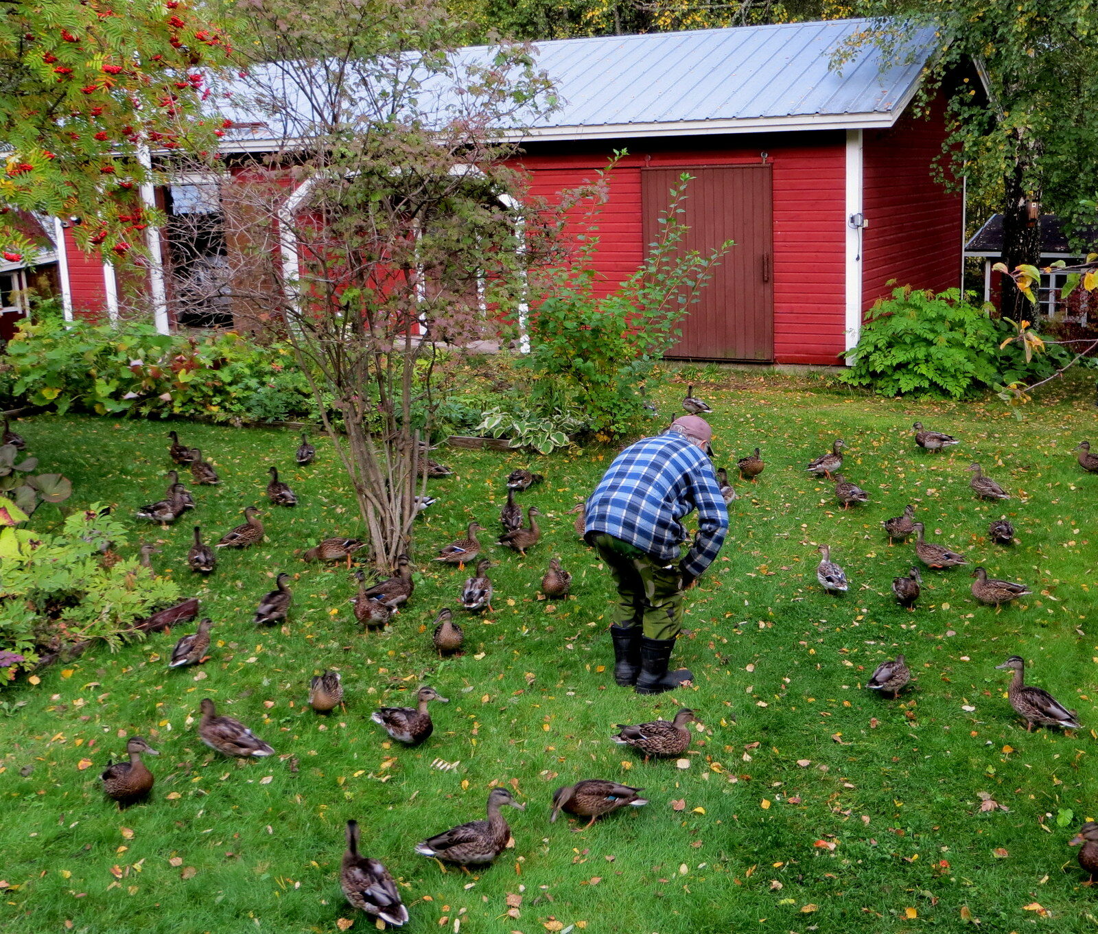 Valokuvaaja: Pirjo Pakarinen