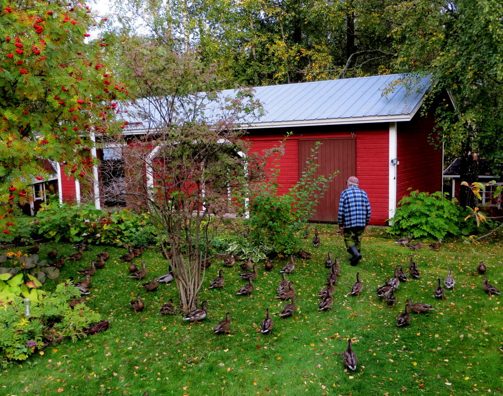 Valokuvaaja: Pirj Pakarinen