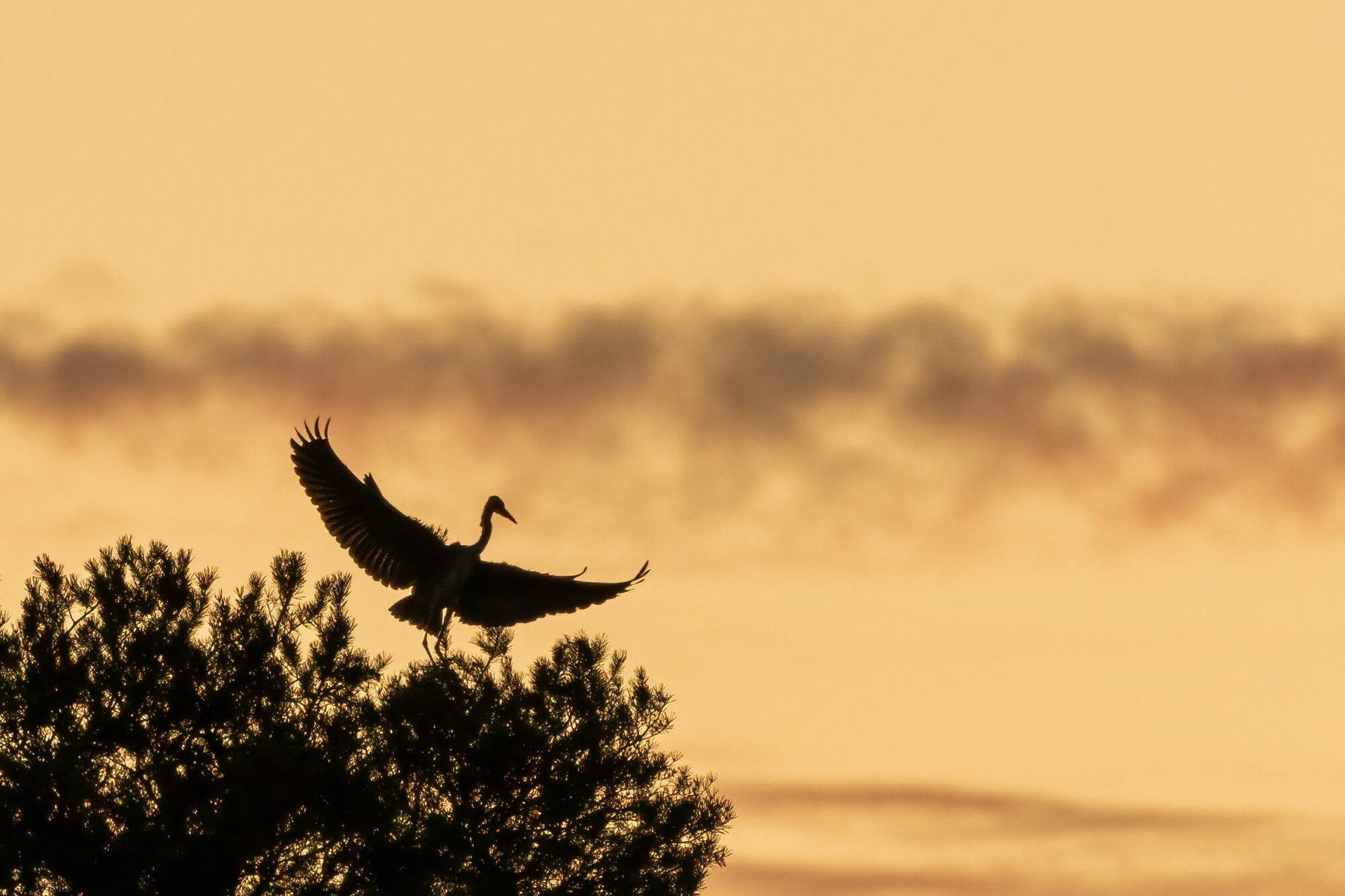 Valokuvaaja: Antti Kortelainen