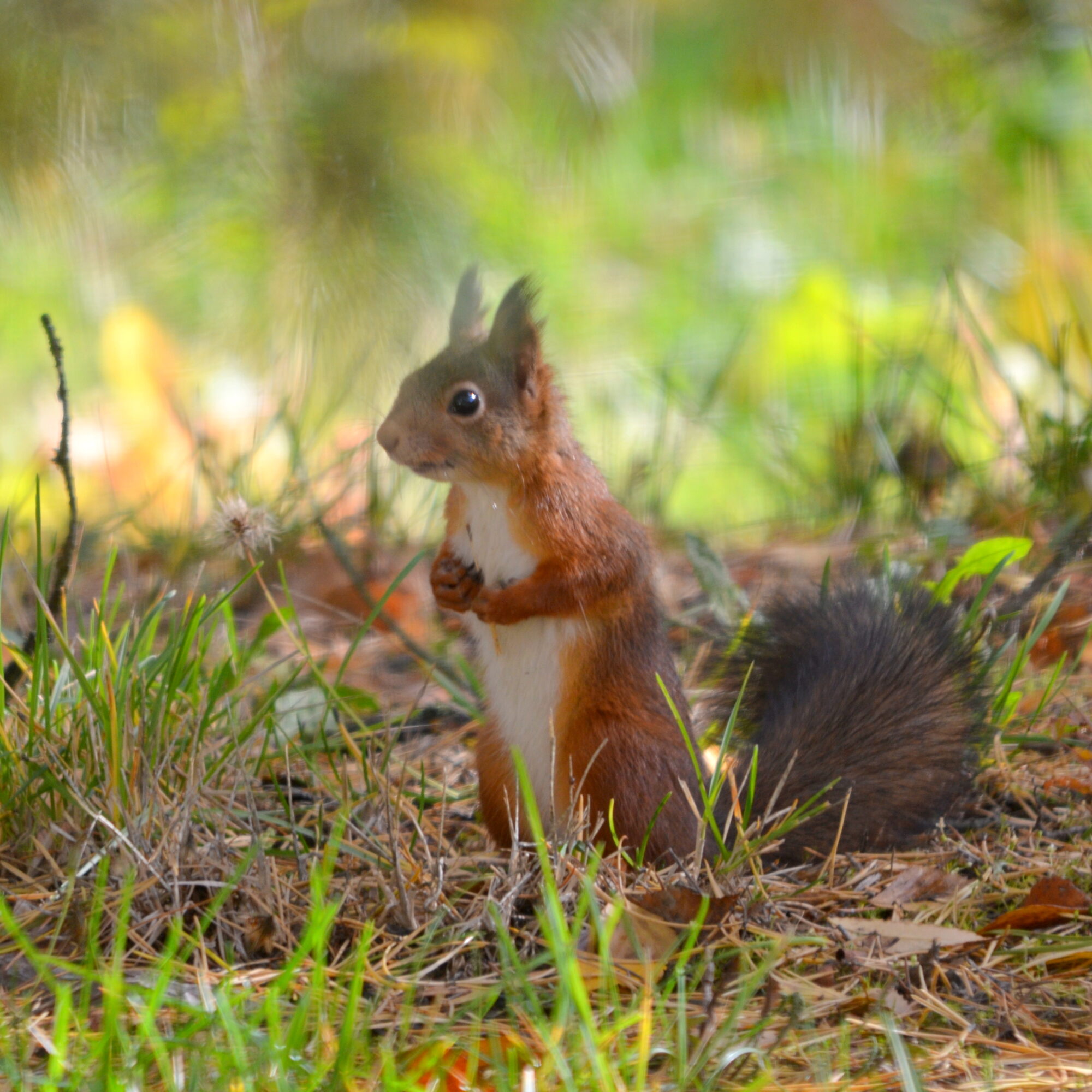 Valokuvaaja: Kaarlo Asikainen
