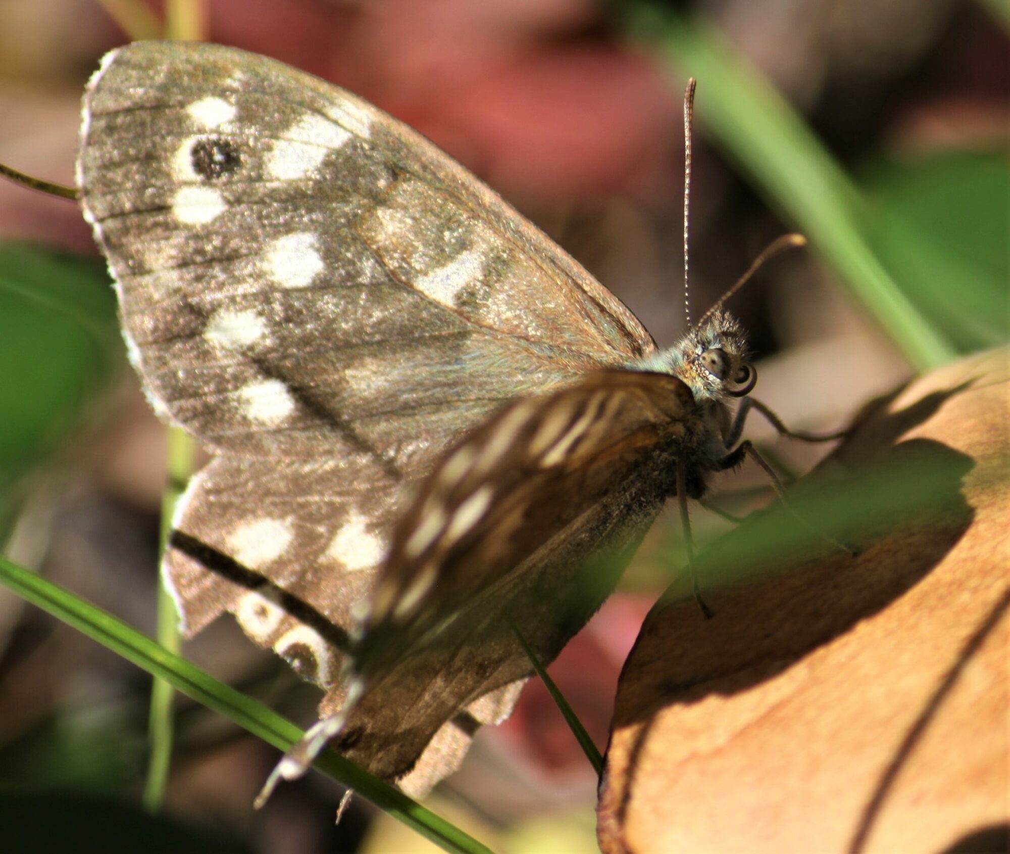 Valokuvaaja: Kaarina Heiskanen