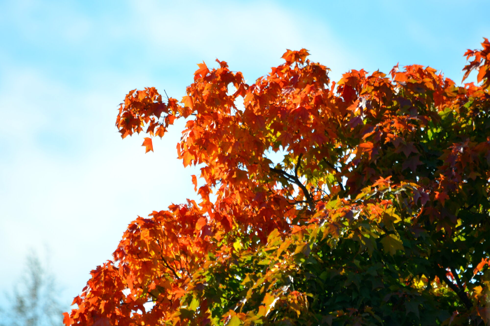 Valokuvaaja: Kaarlo Asikainen