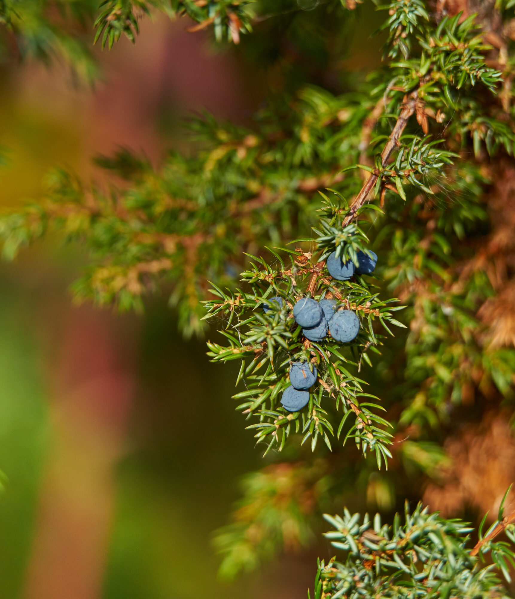 Valokuvaaja: Tarja Kouvo