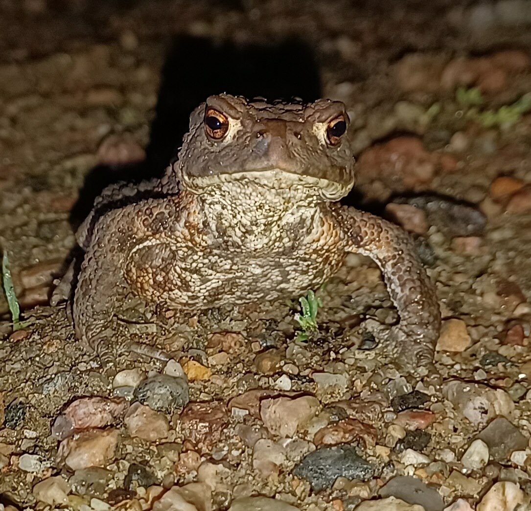 Valokuvaaja: Janne Salonen
