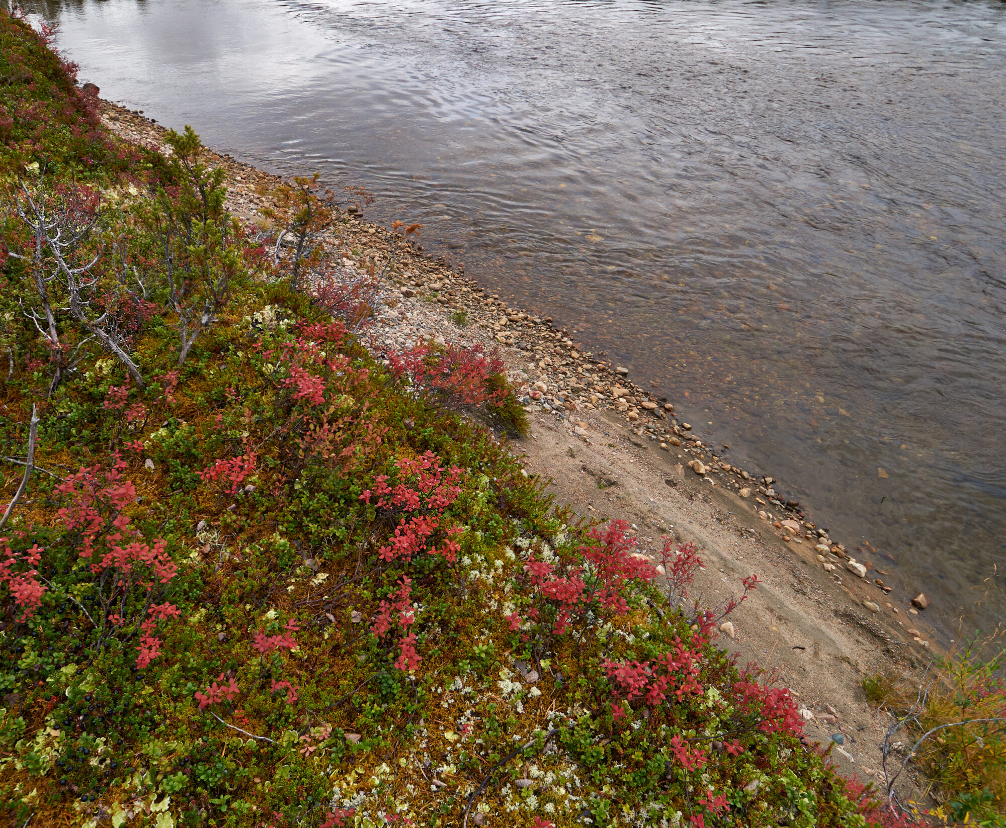 Valokuvaaja: Tarja Kouvo