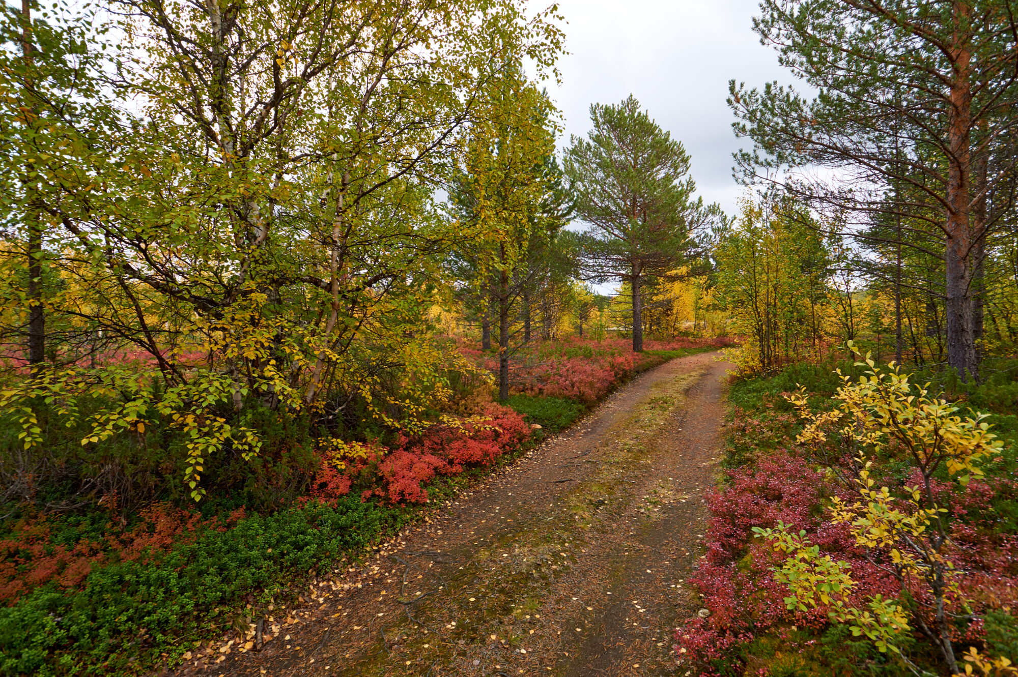 Valokuvaaja: Tarja Kouvo