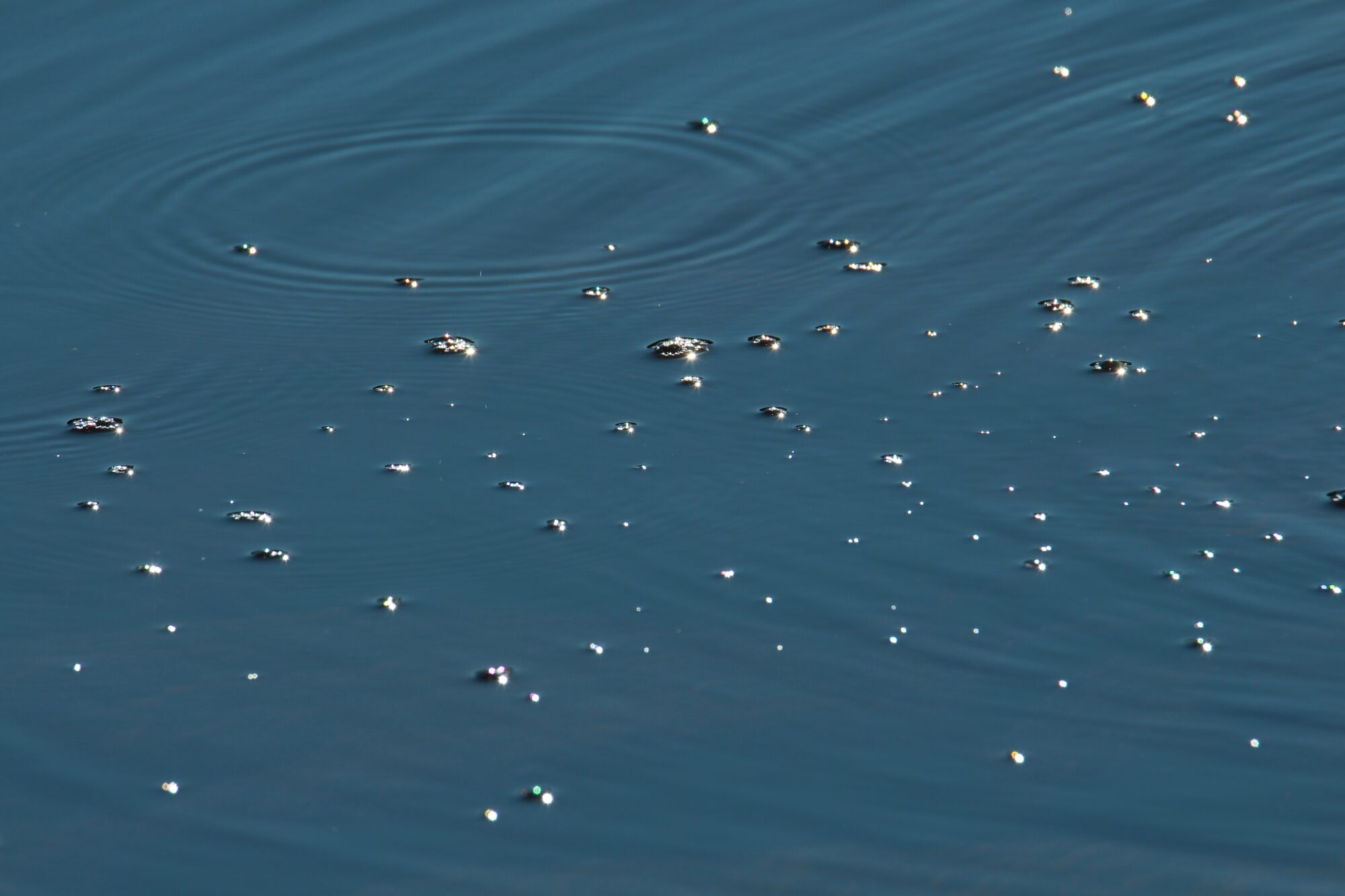 Valokuvaaja: Jaana Saarelainen