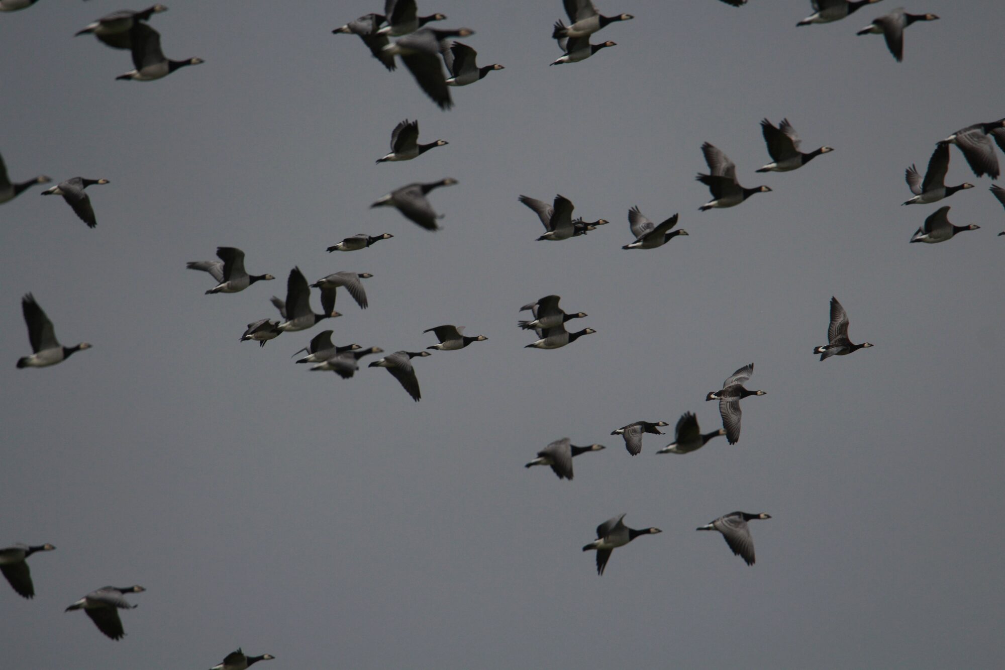 Valokuvaaja: Jaana Saarelainen