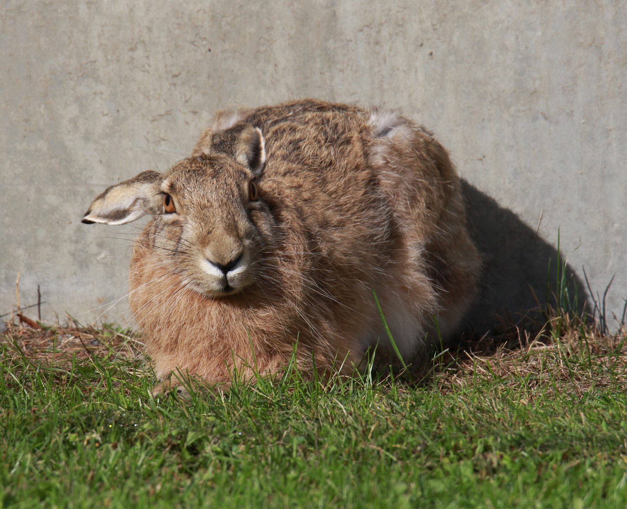 Valokuvaaja: Jaana Saarelainen