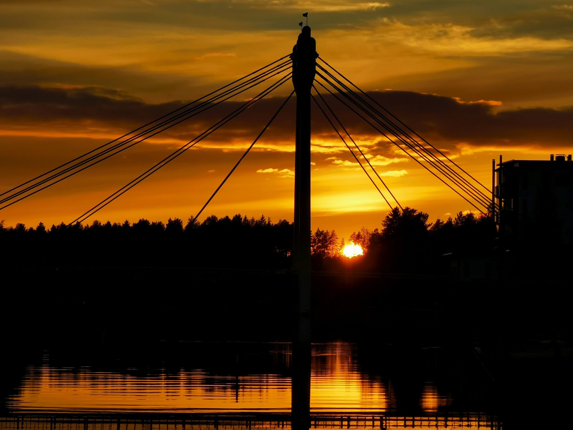 Valokuvaaja: Jaana Saarelainen