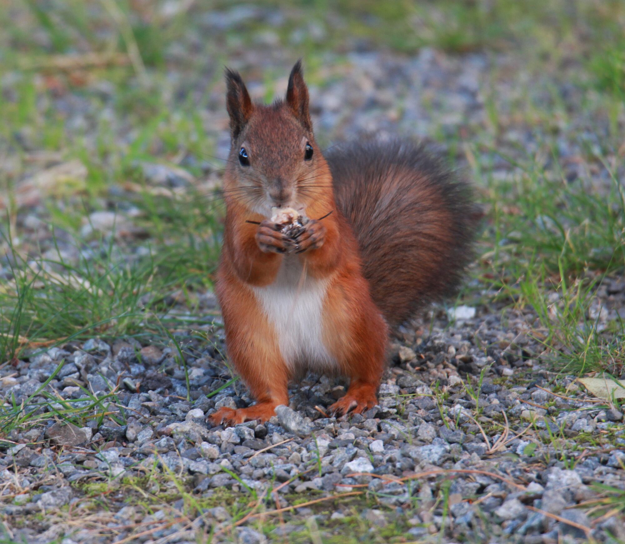 Valokuvaaja: Jaana Saarelainen