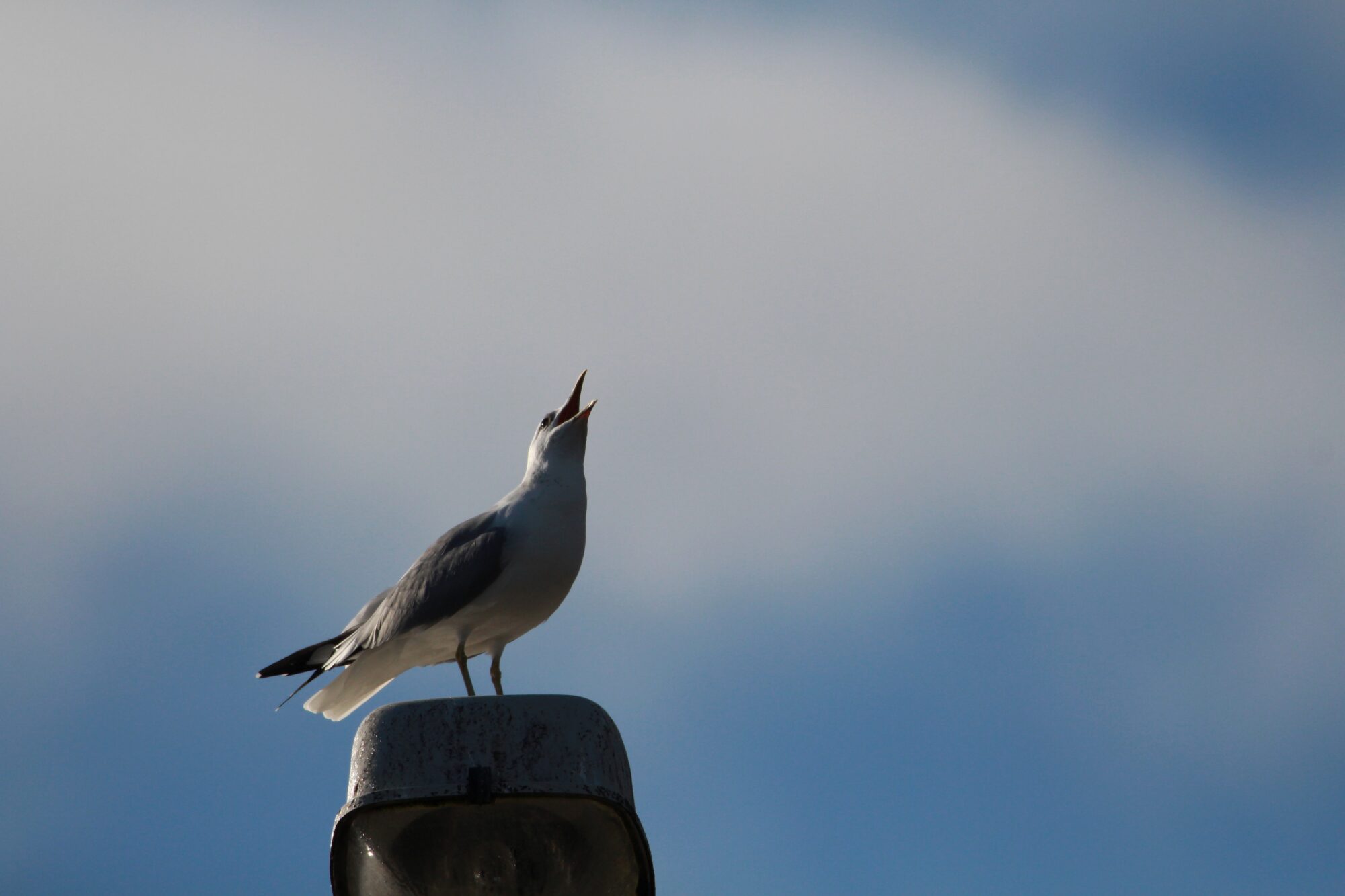 Valokuvaaja: Jaana Saarelainen Valokuvaaja: Jaana Saarelainen