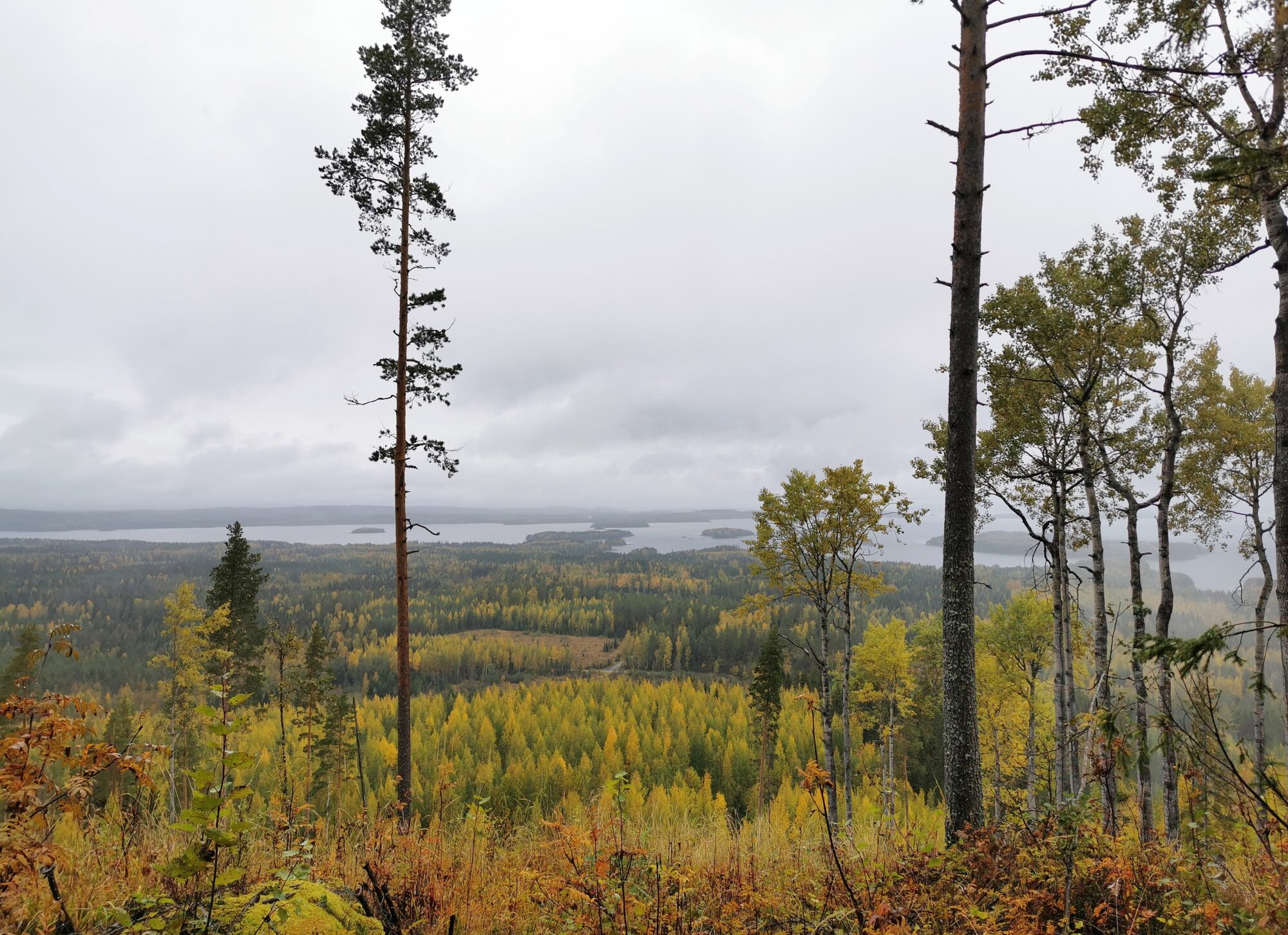Valokuvaaja: Jaana Saarelainen